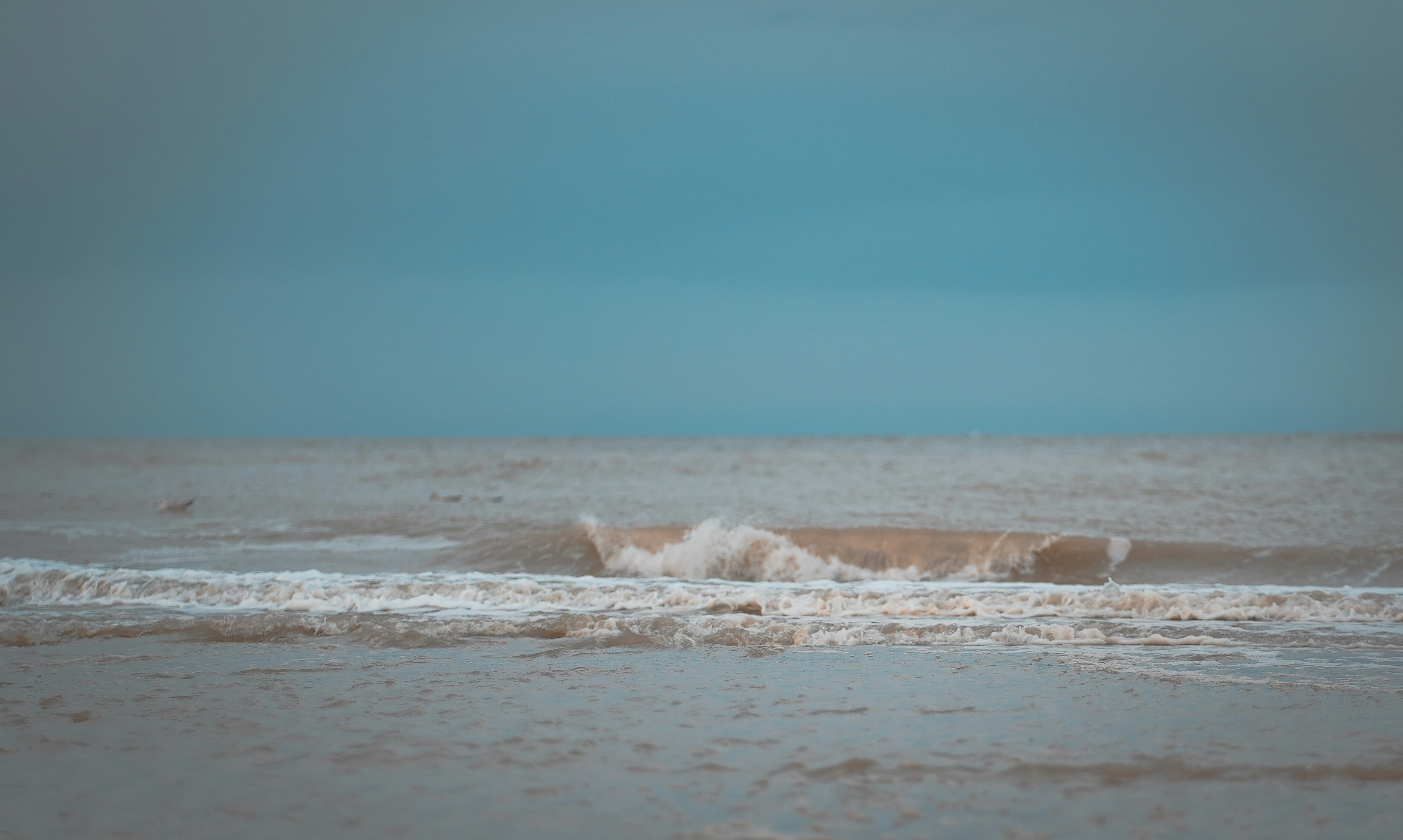 Photo by michelstock