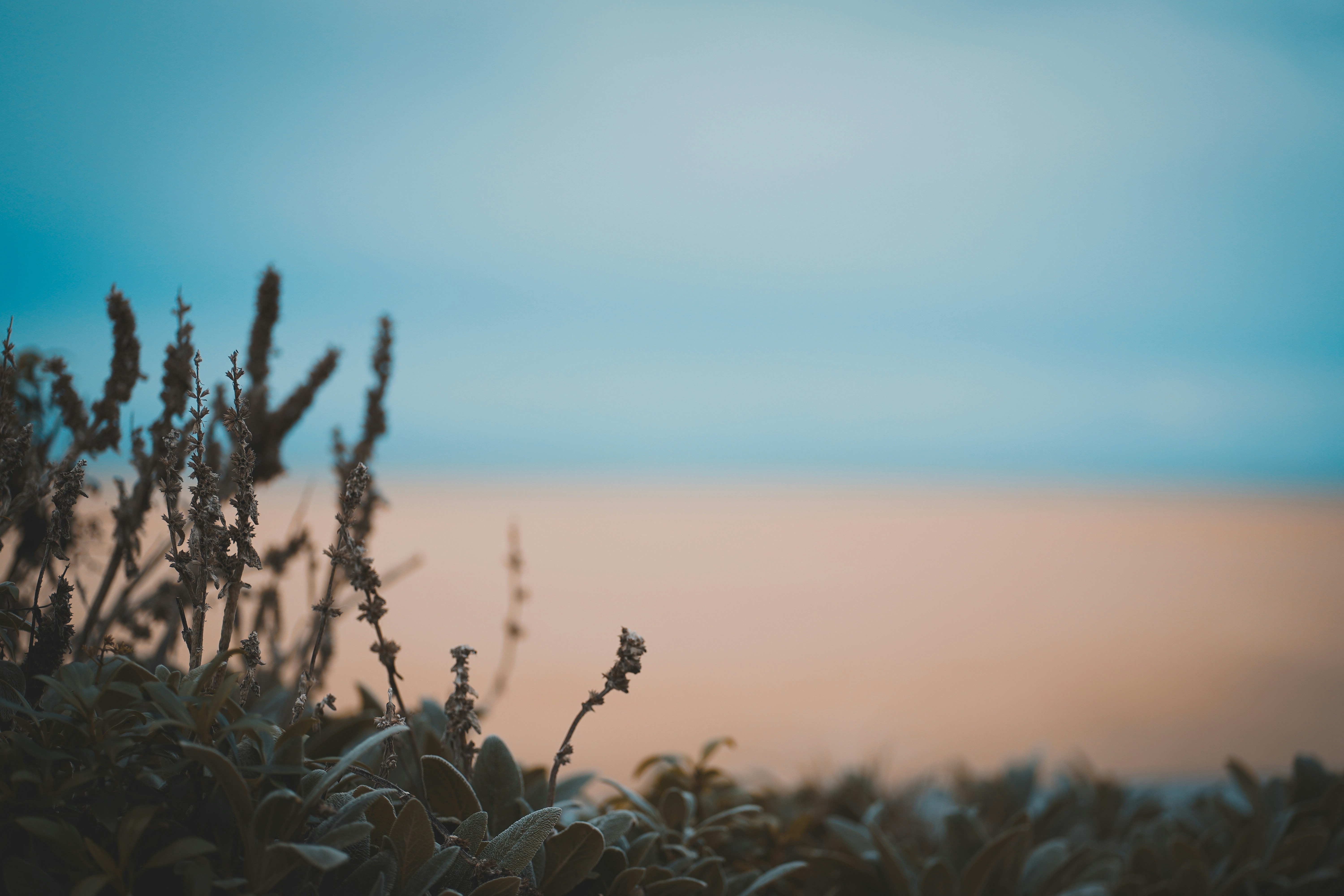 Photo by michelstock