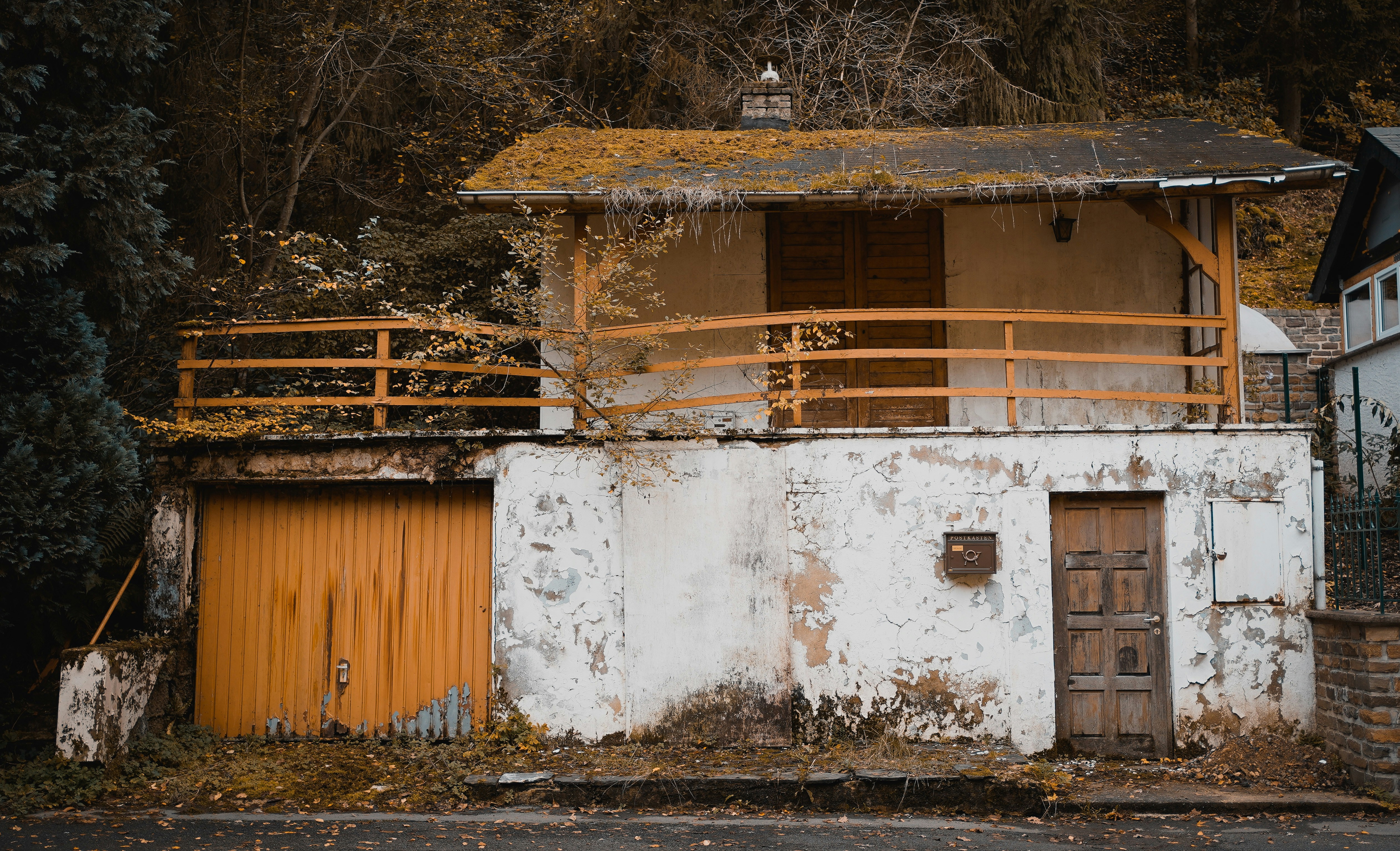 Photo by michelstock