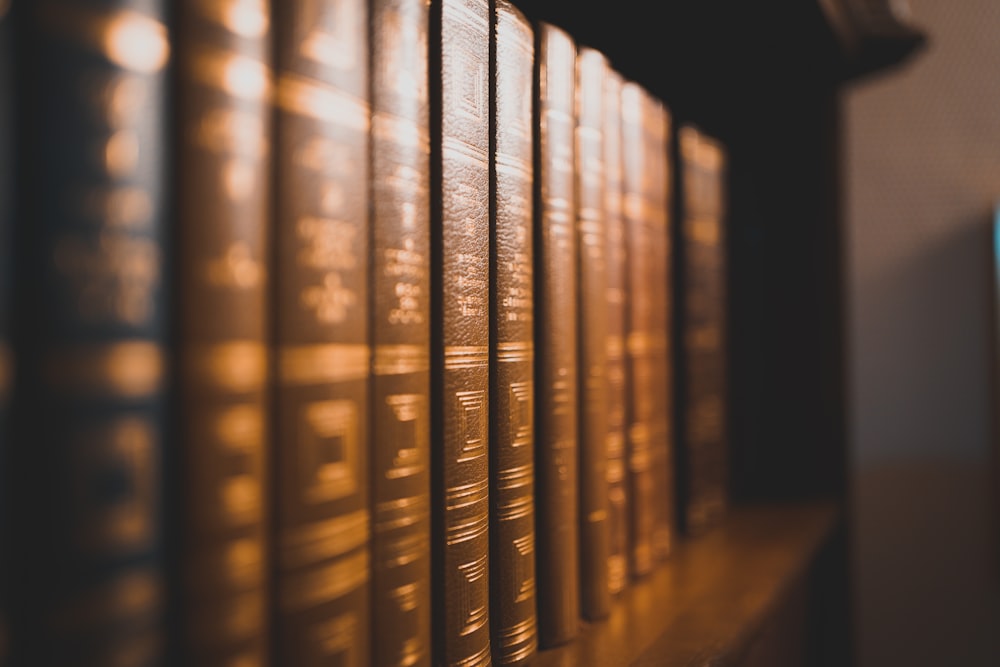 brown hardbound books on shelf