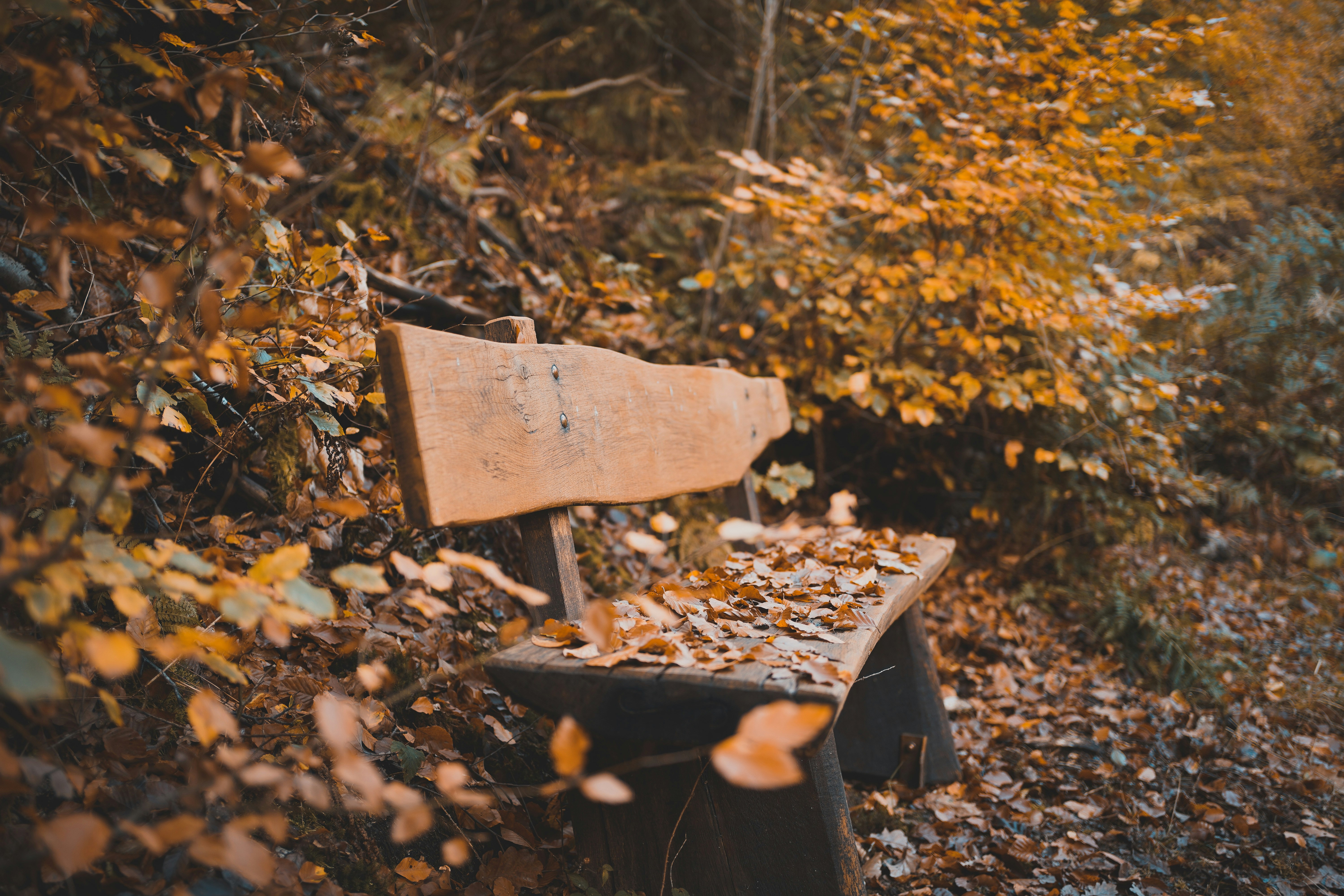 Photo by michelstock