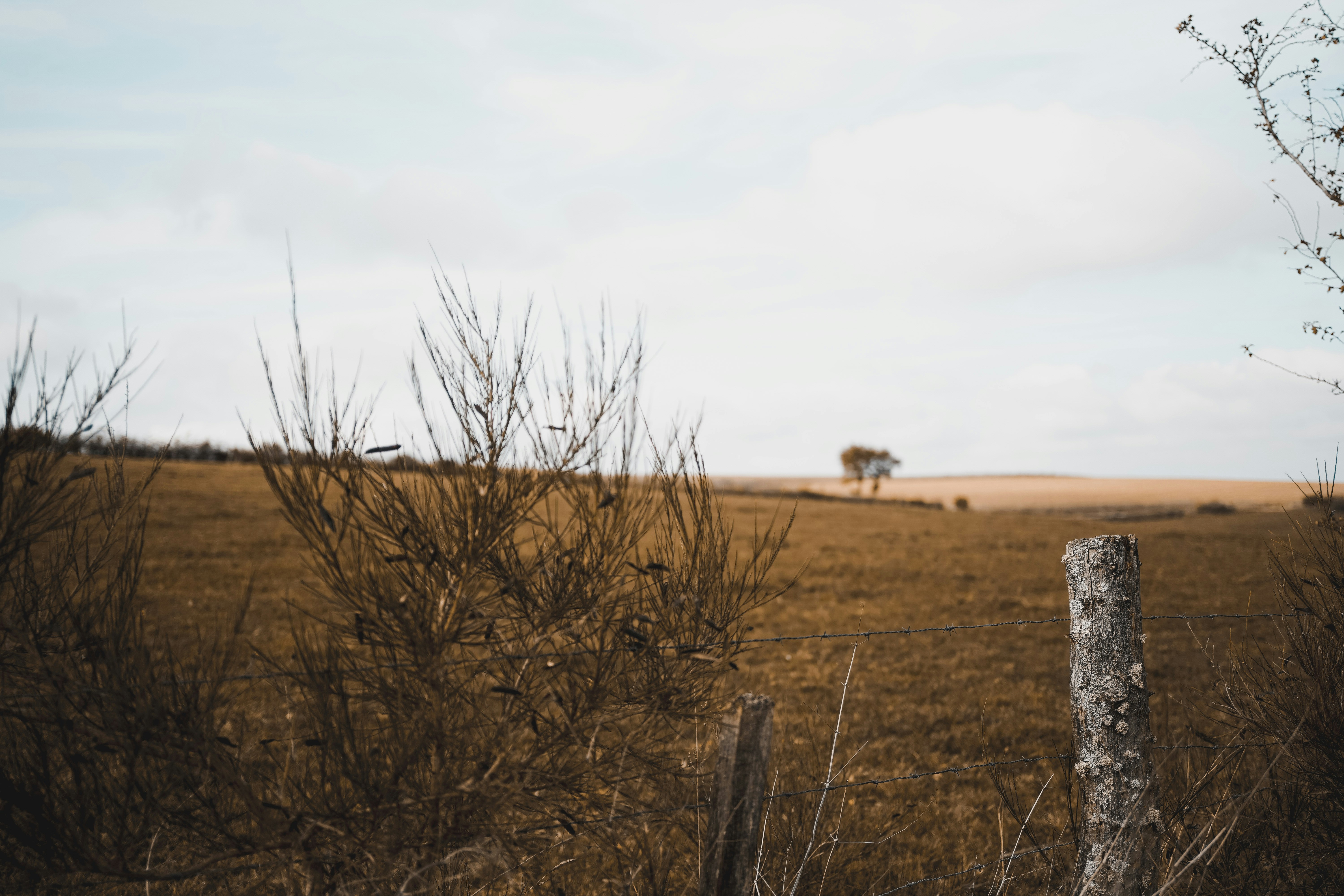 Photo by michelstock