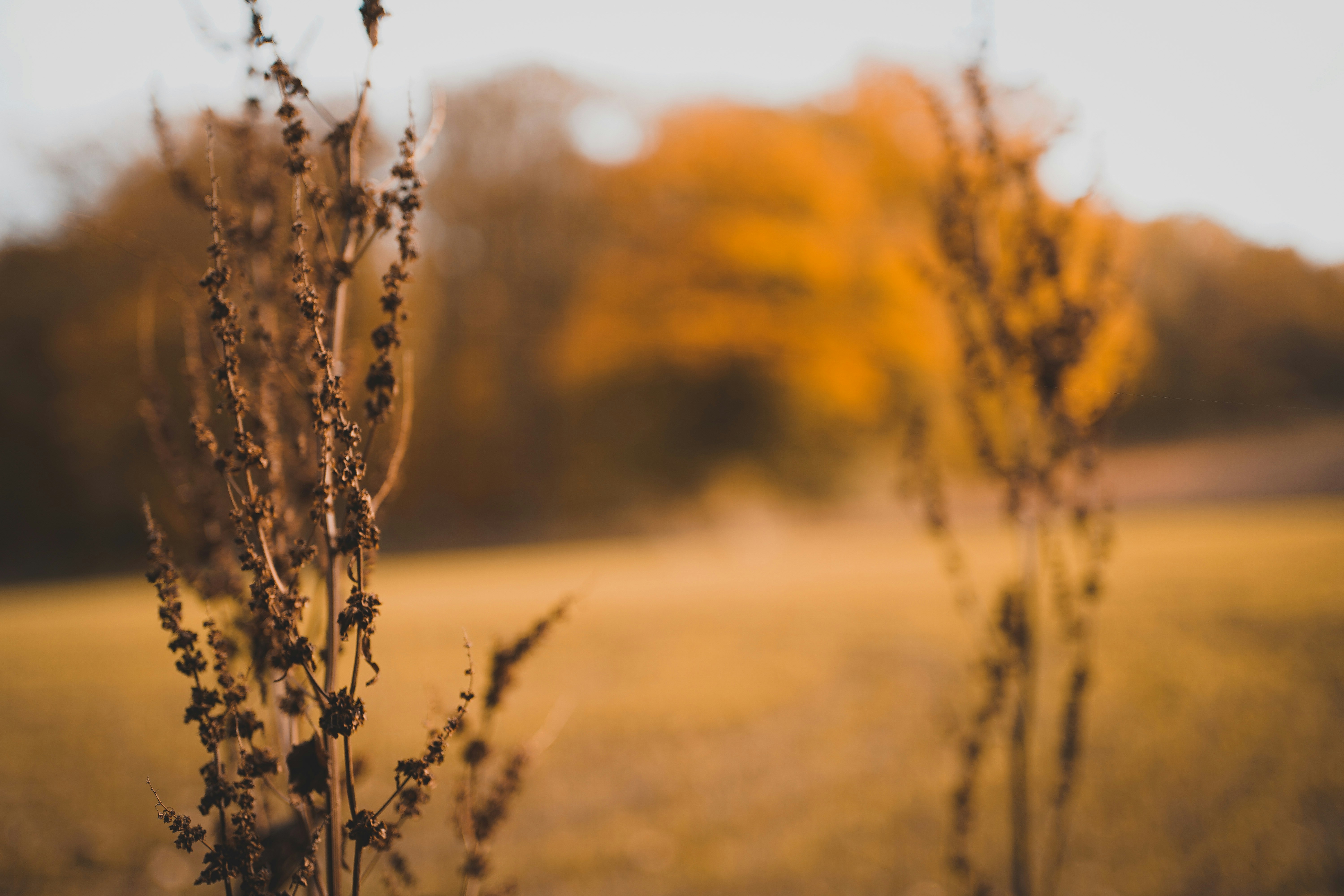 Photo by michelstock