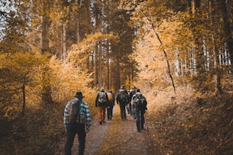 group of person walking on trail