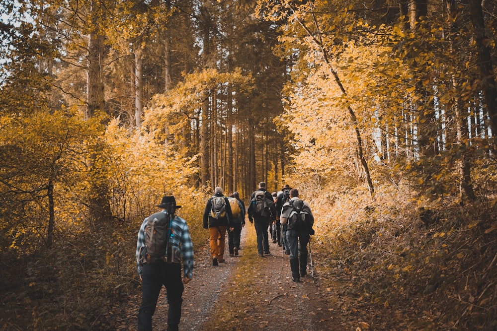 group of person walking on trail