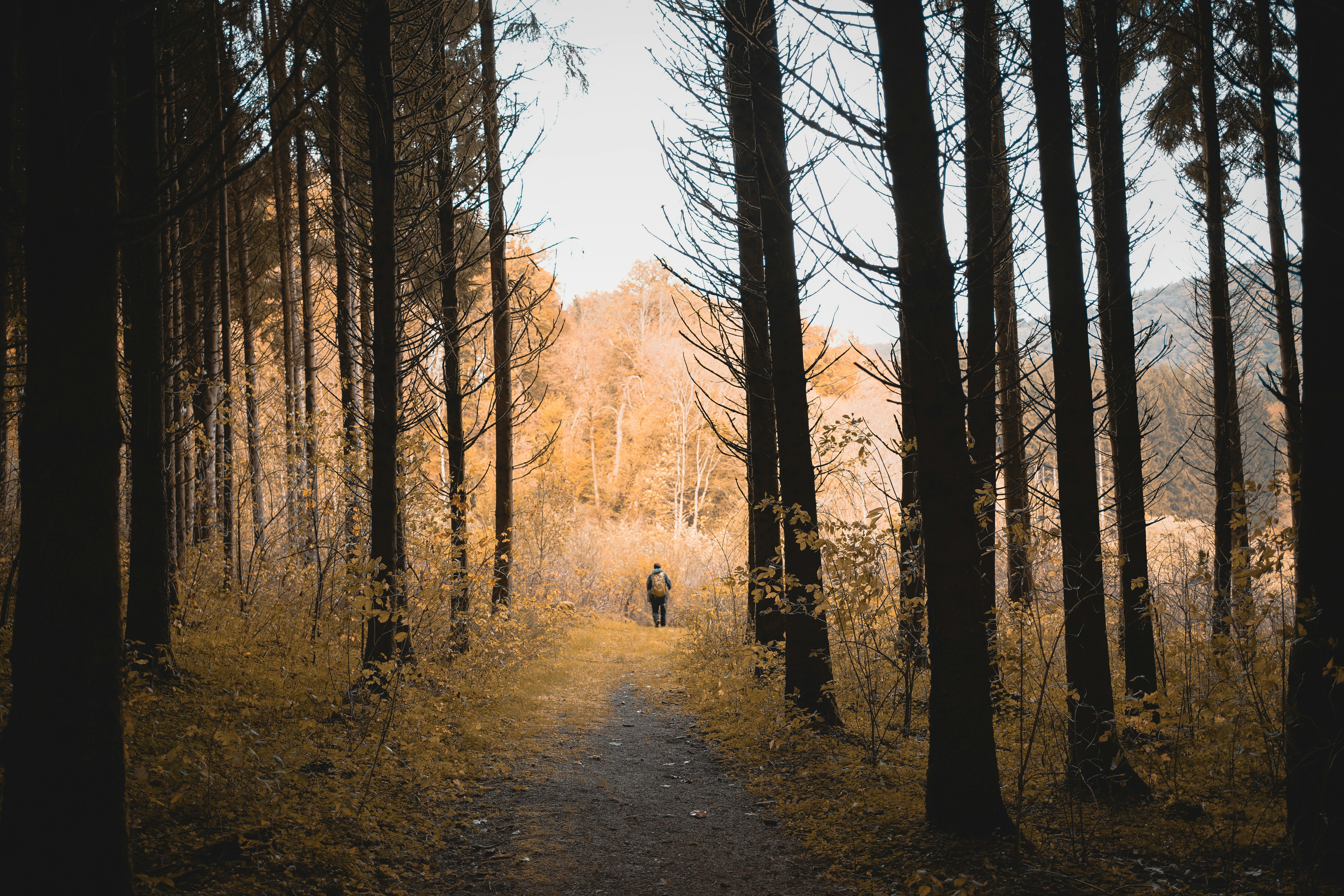 Photo by michelstock