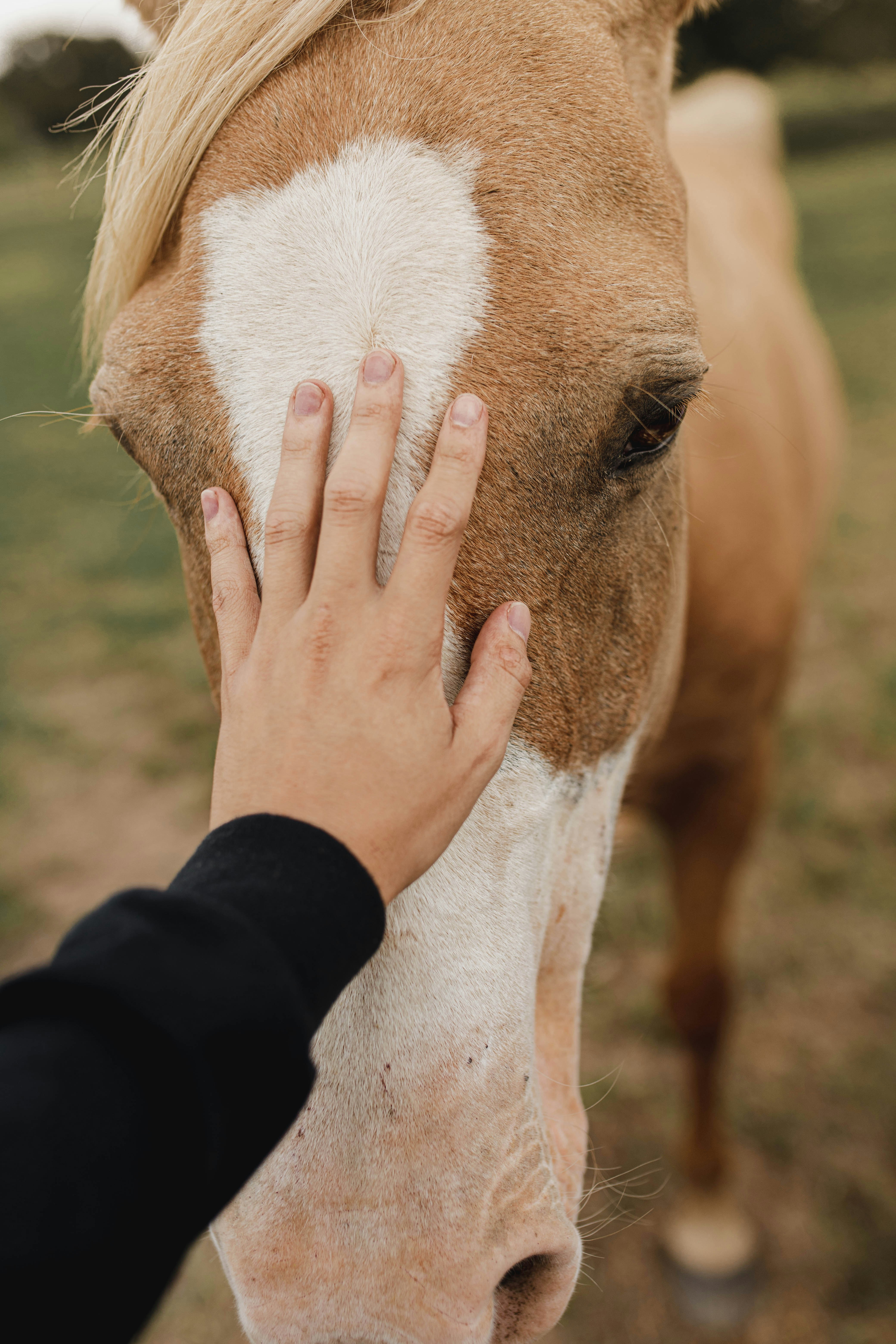 Empathy in Action (image credits: unsplash)