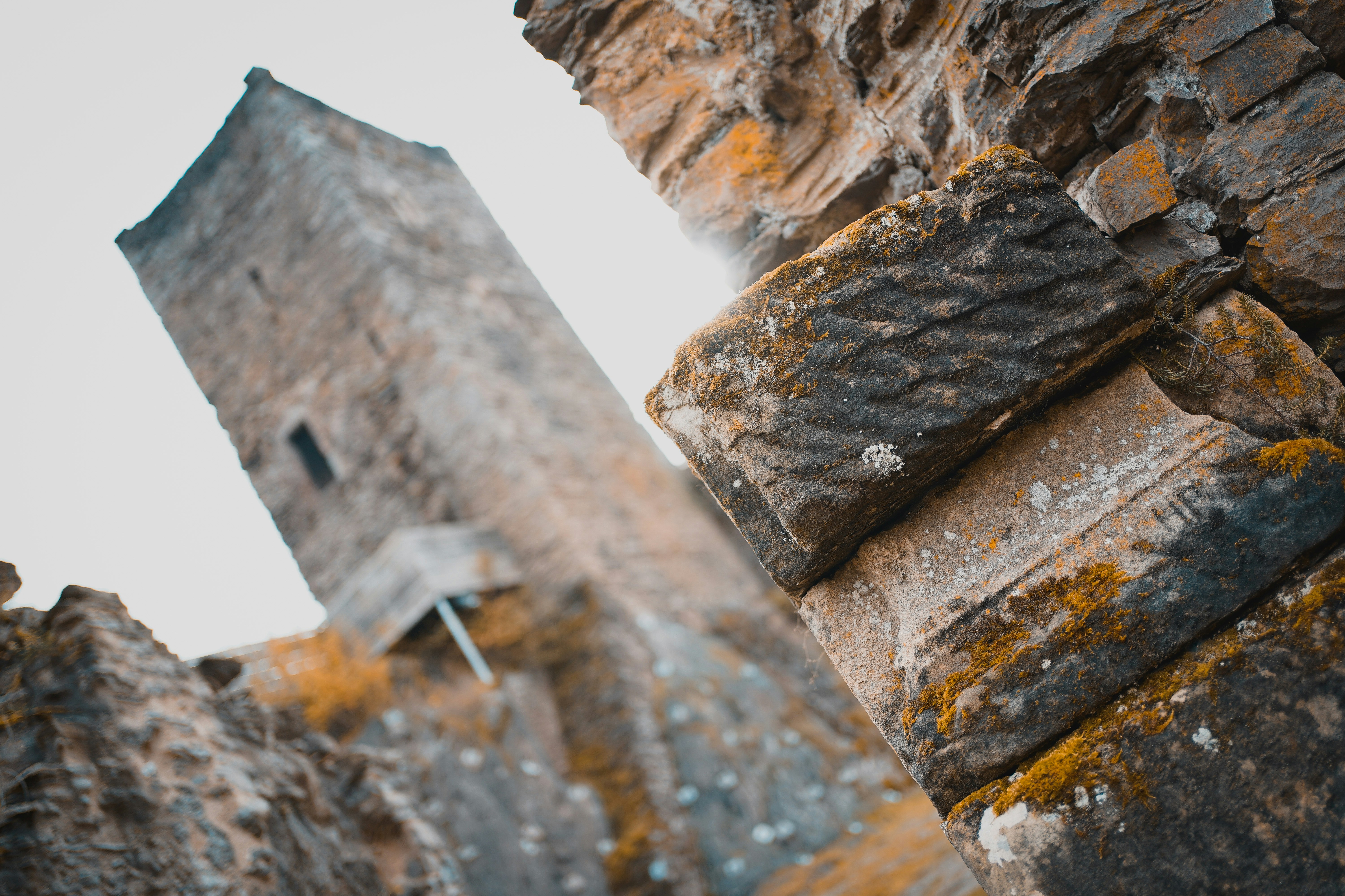 Photo by michelstock