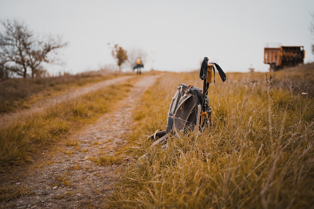 Trailblazer Backpack