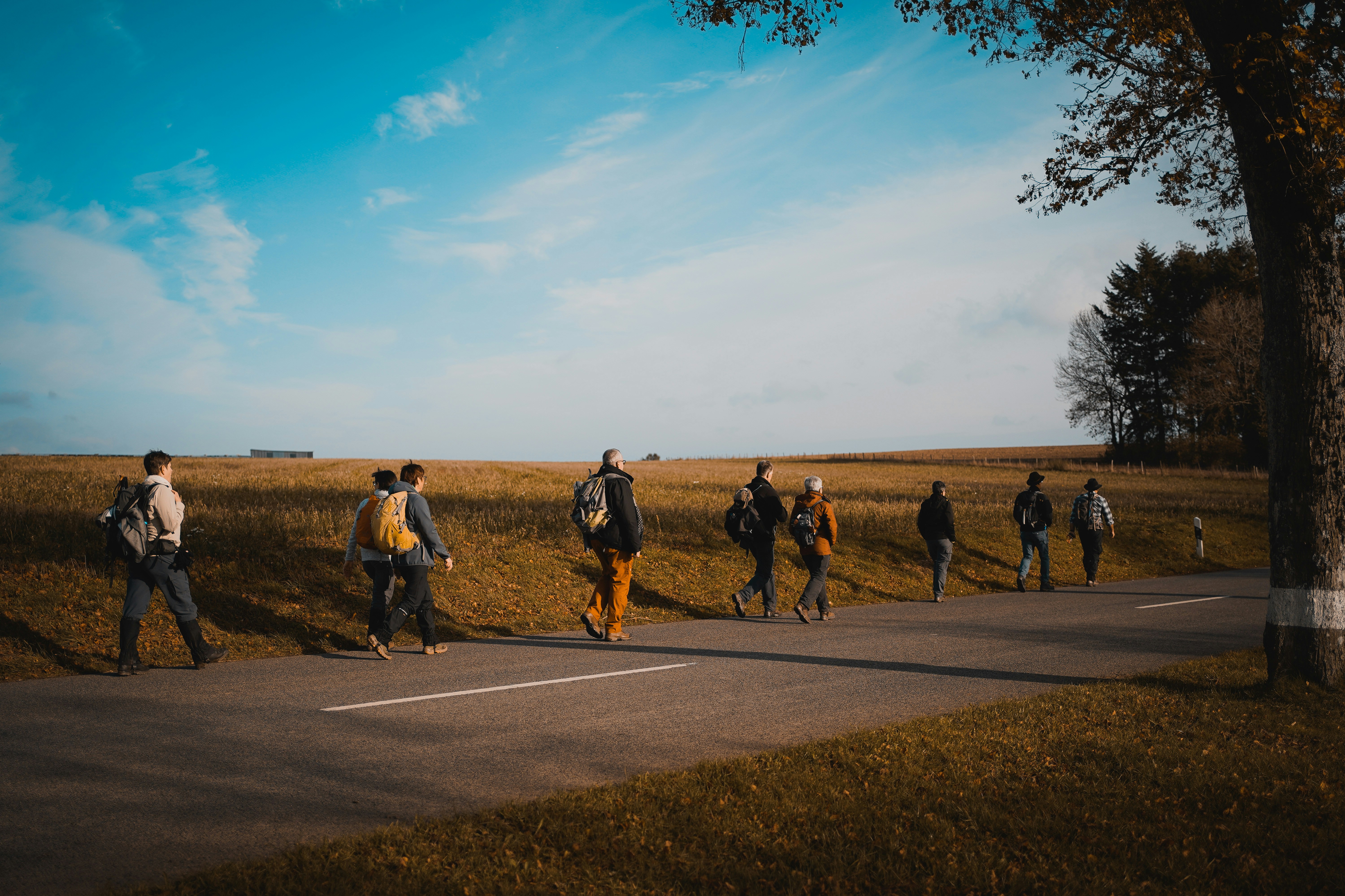 Photo by michelstock