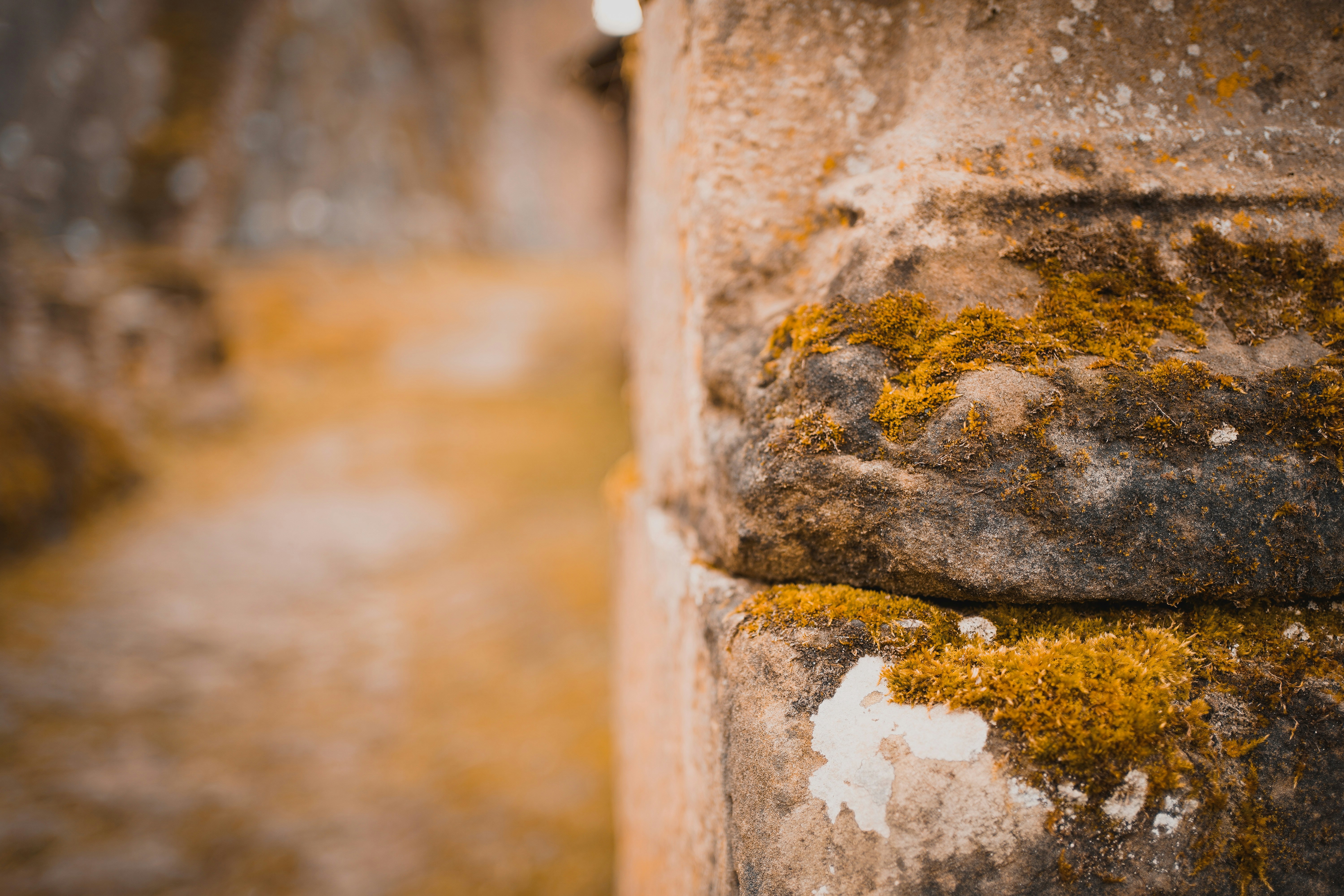 Photo by michelstock