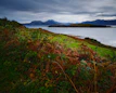 A scenic view of Australian and New Zealand landscapes representing natural origins.