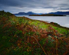 A scenic view of Australian and New Zealand landscapes representing natural origins.