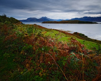 A serene landscape showcasing New Zealand's natural beauty with cosmetic products elegantly displayed.