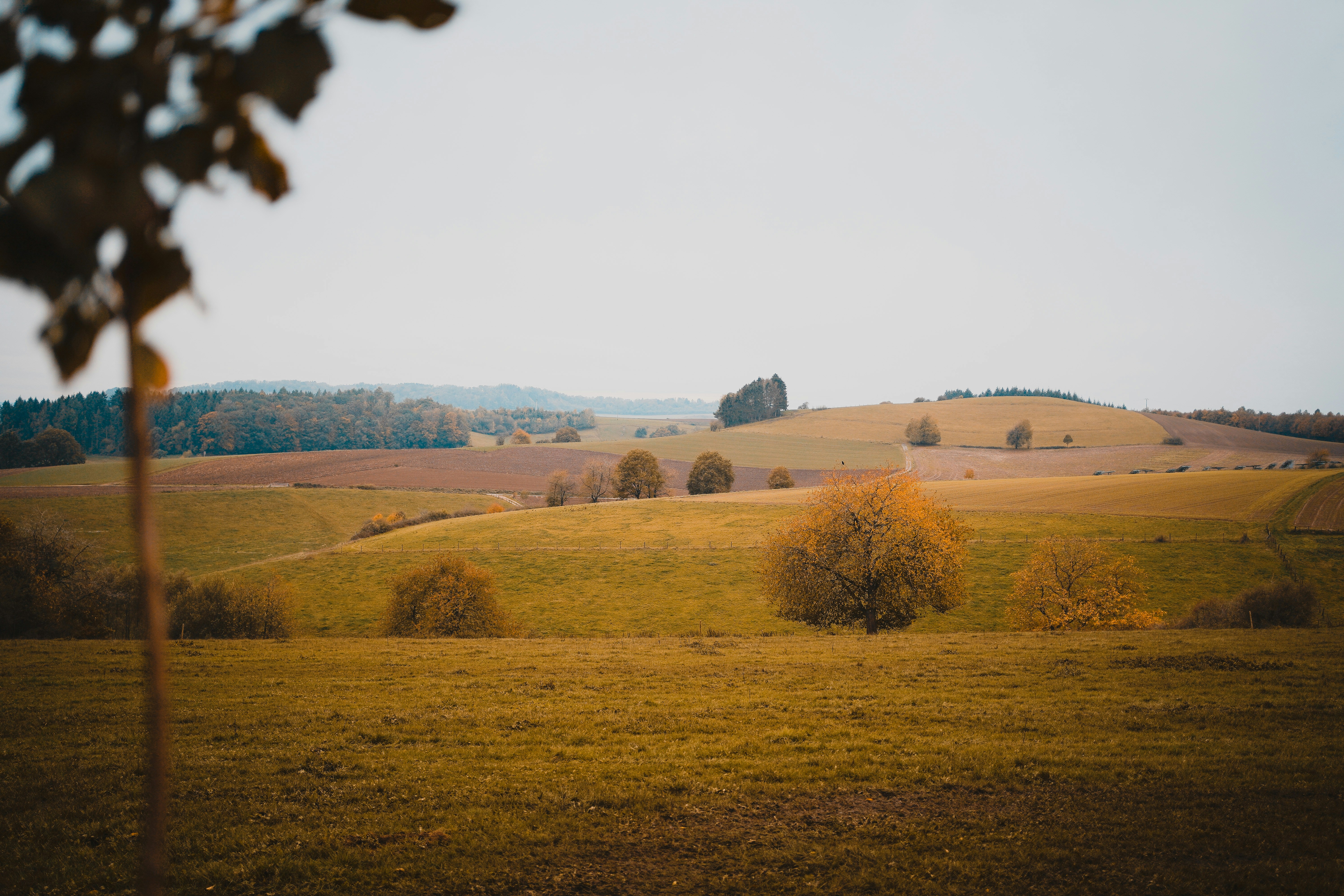 Photo by michelstock