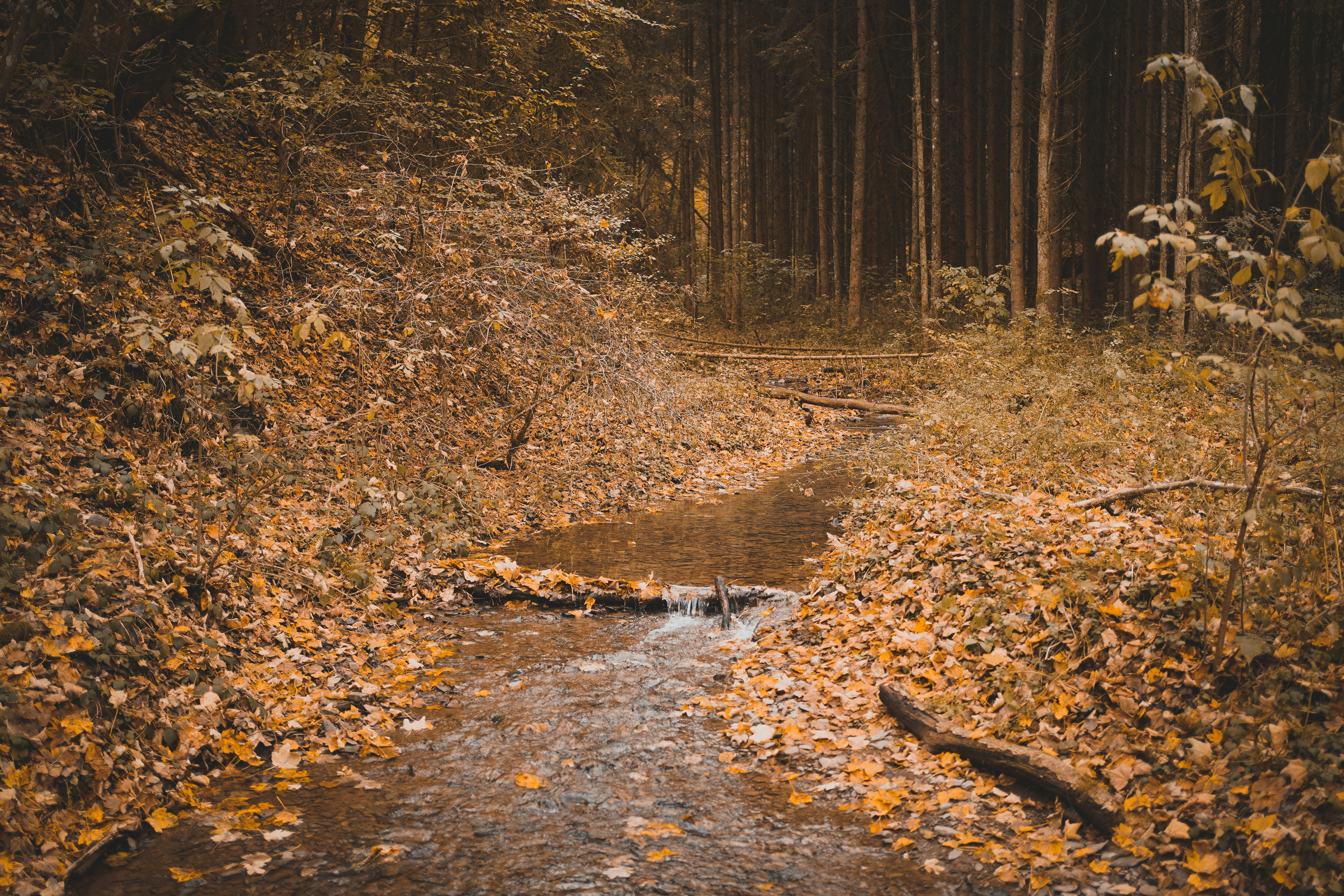 Photo by michelstock