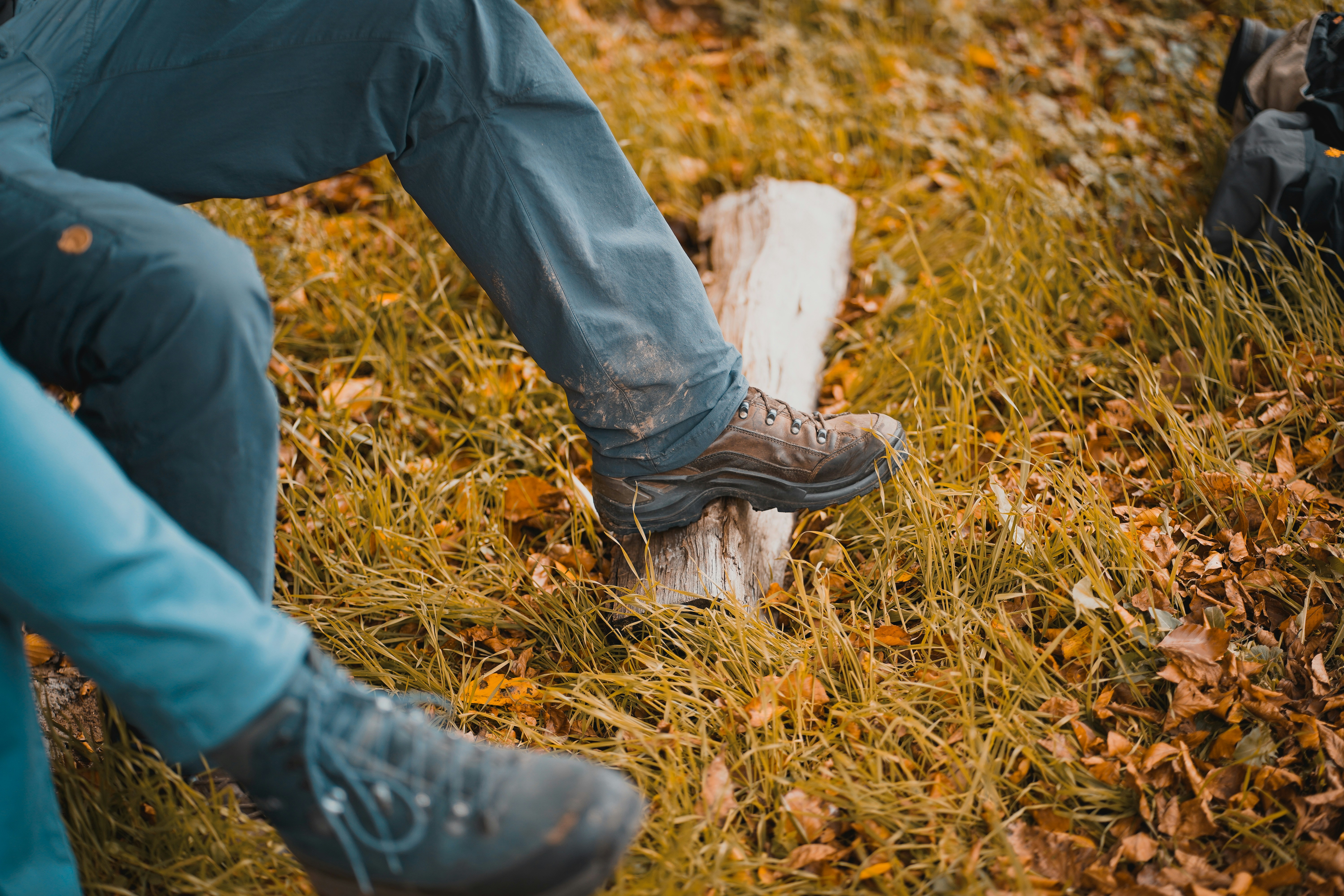 Photo by michelstock