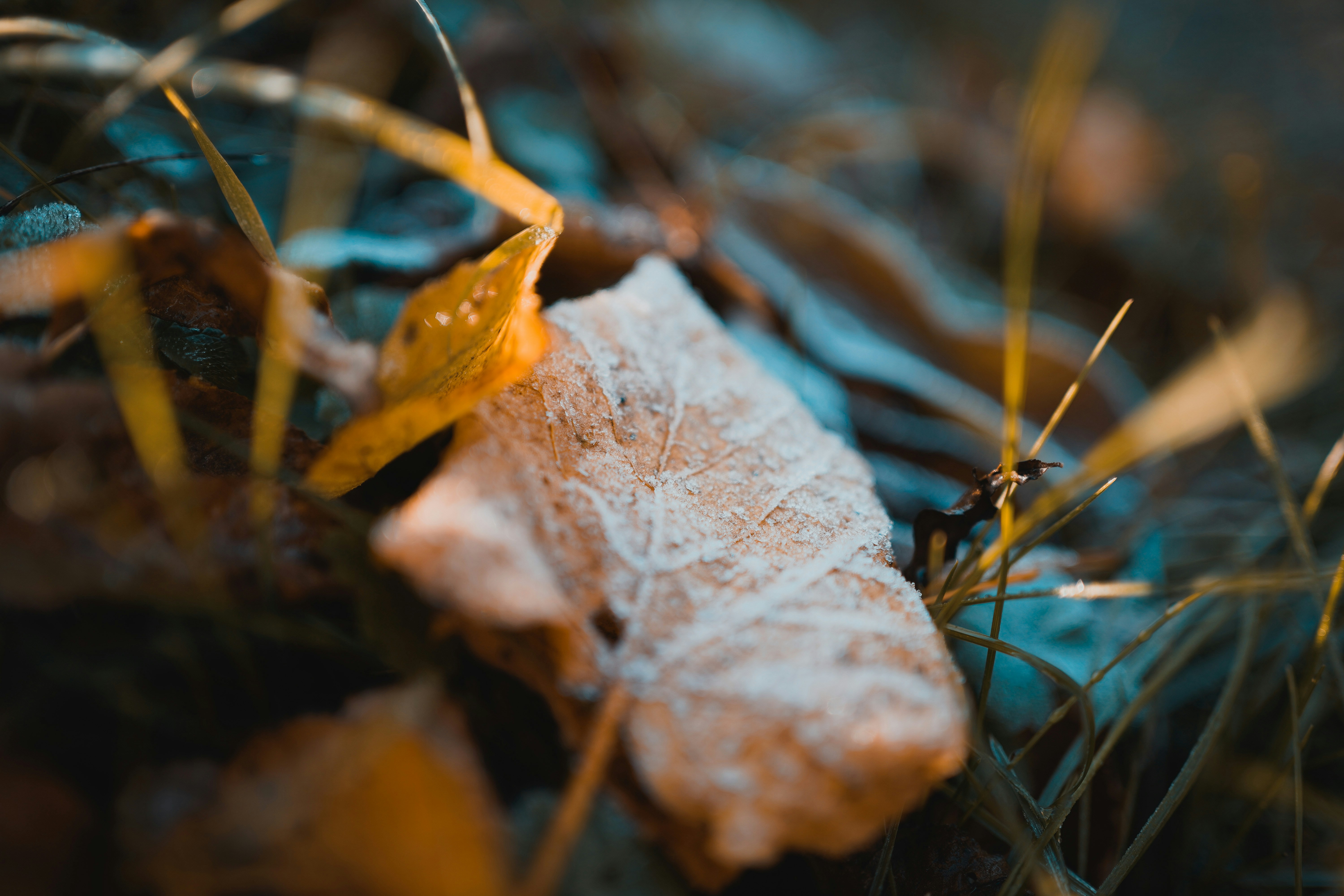 Photo by michelstock