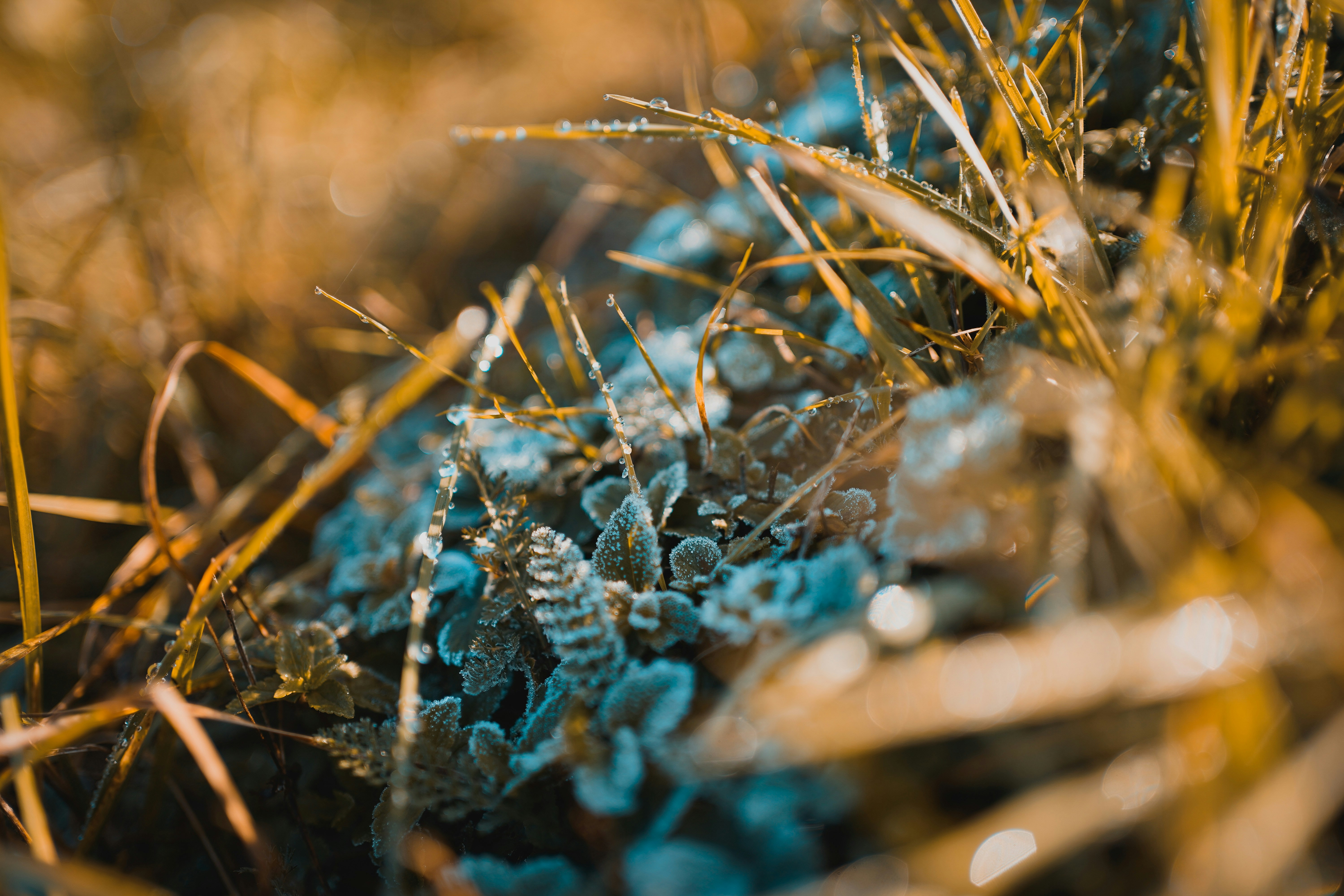 Photo by michelstock