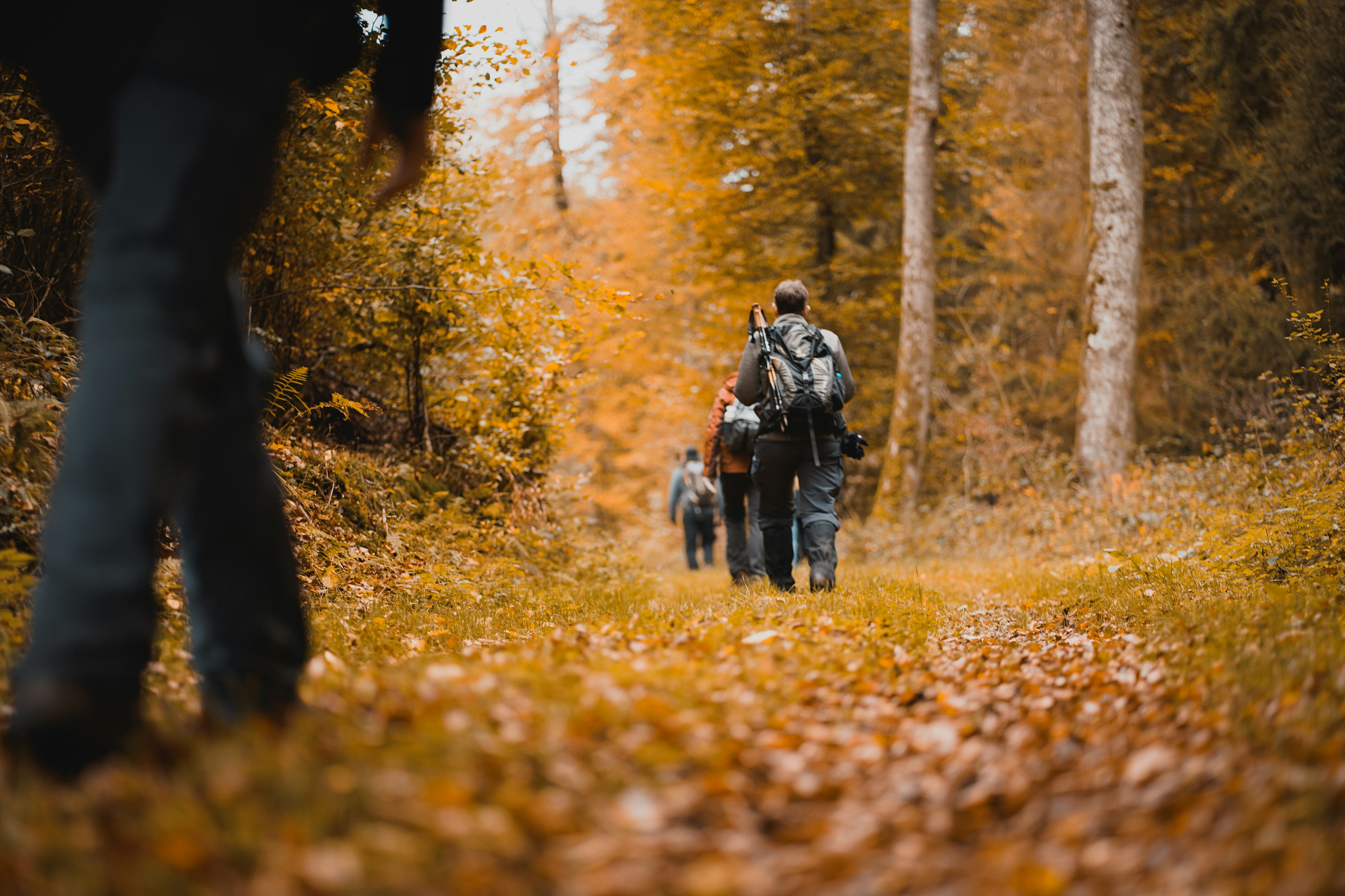 Photo by michelstock