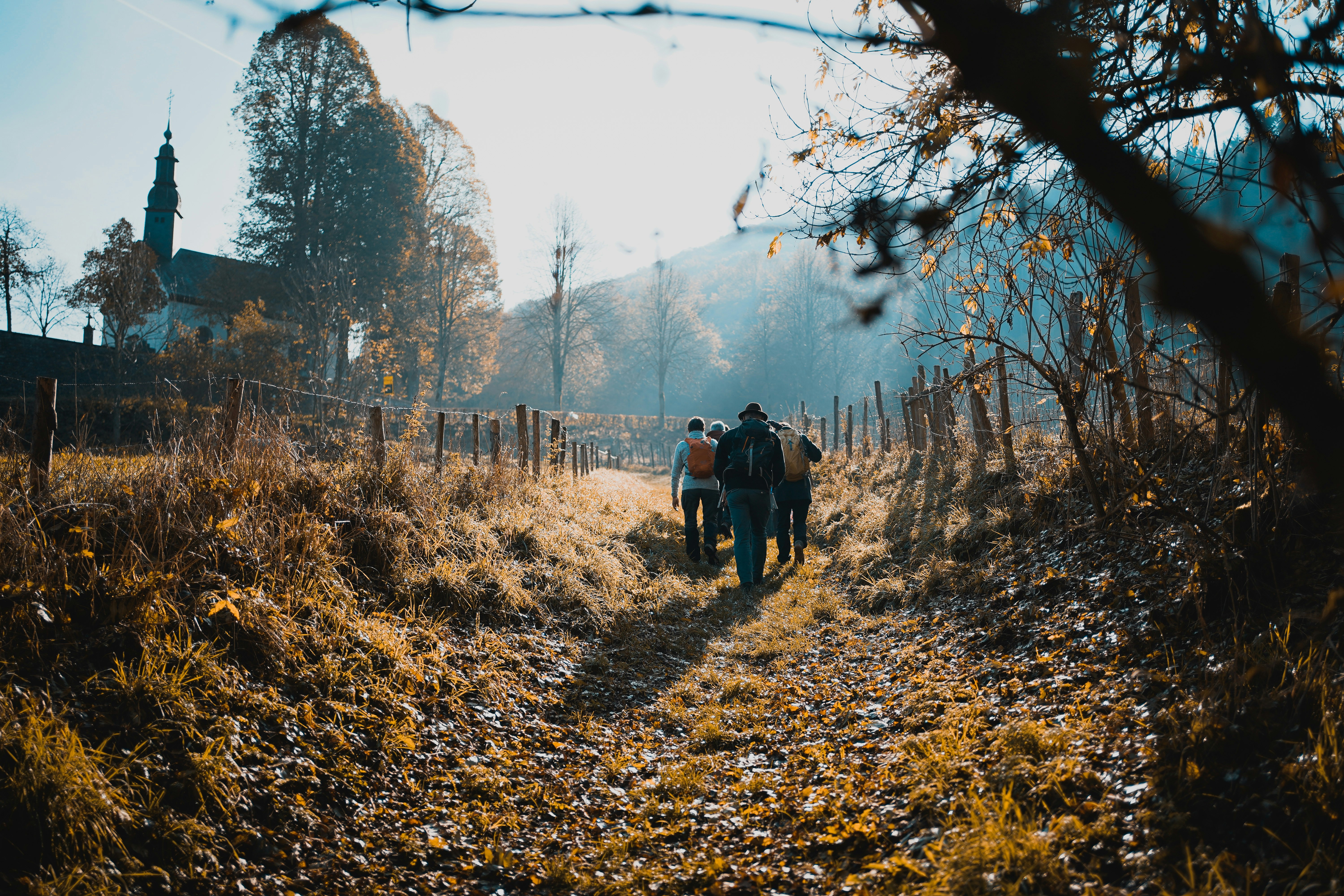 Photo by michelstock