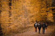 people walking near trees