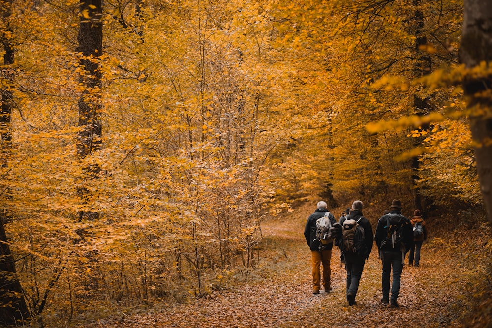 people walking near trees