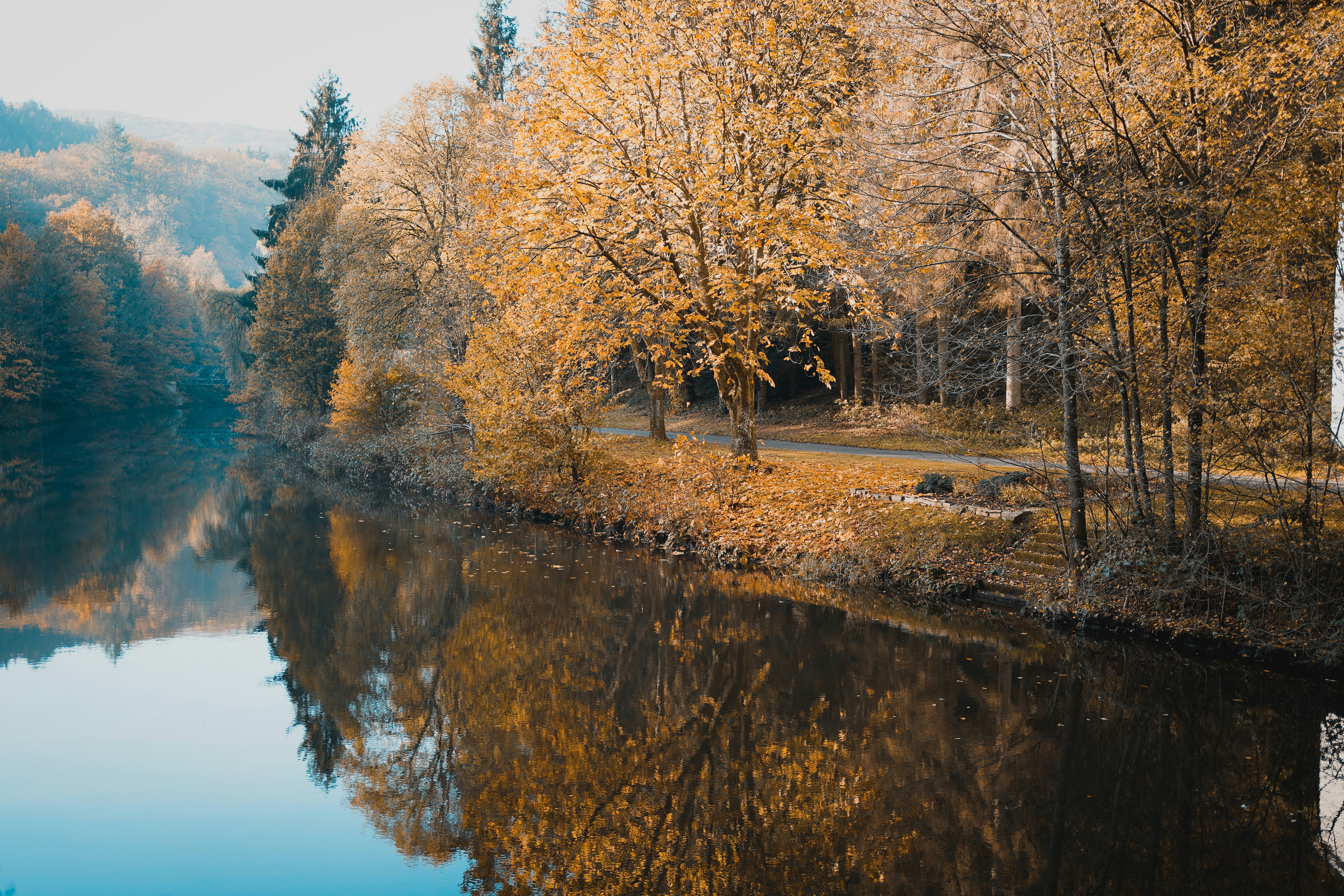 Photo by michelstock