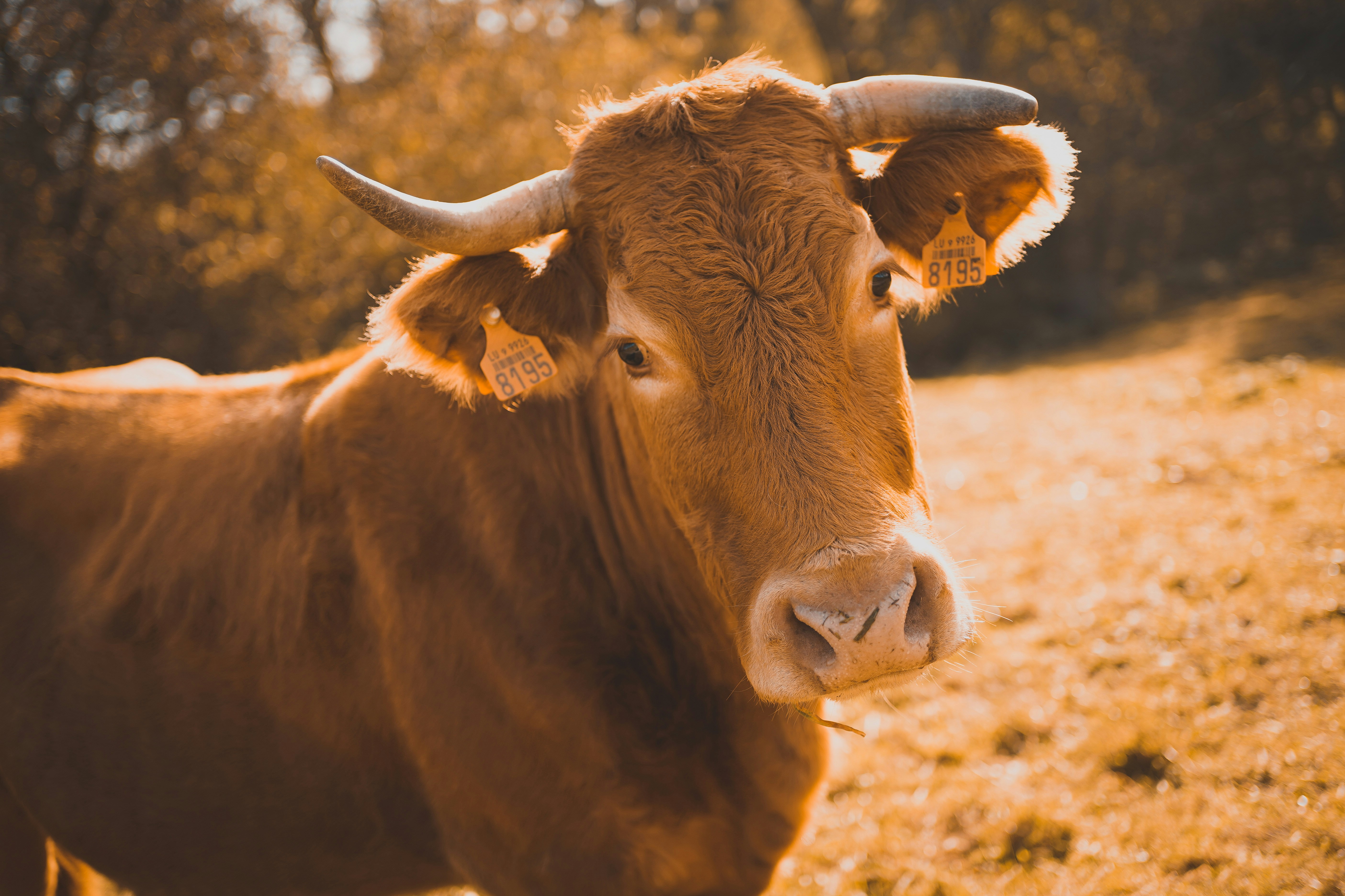 Photo by michelstock