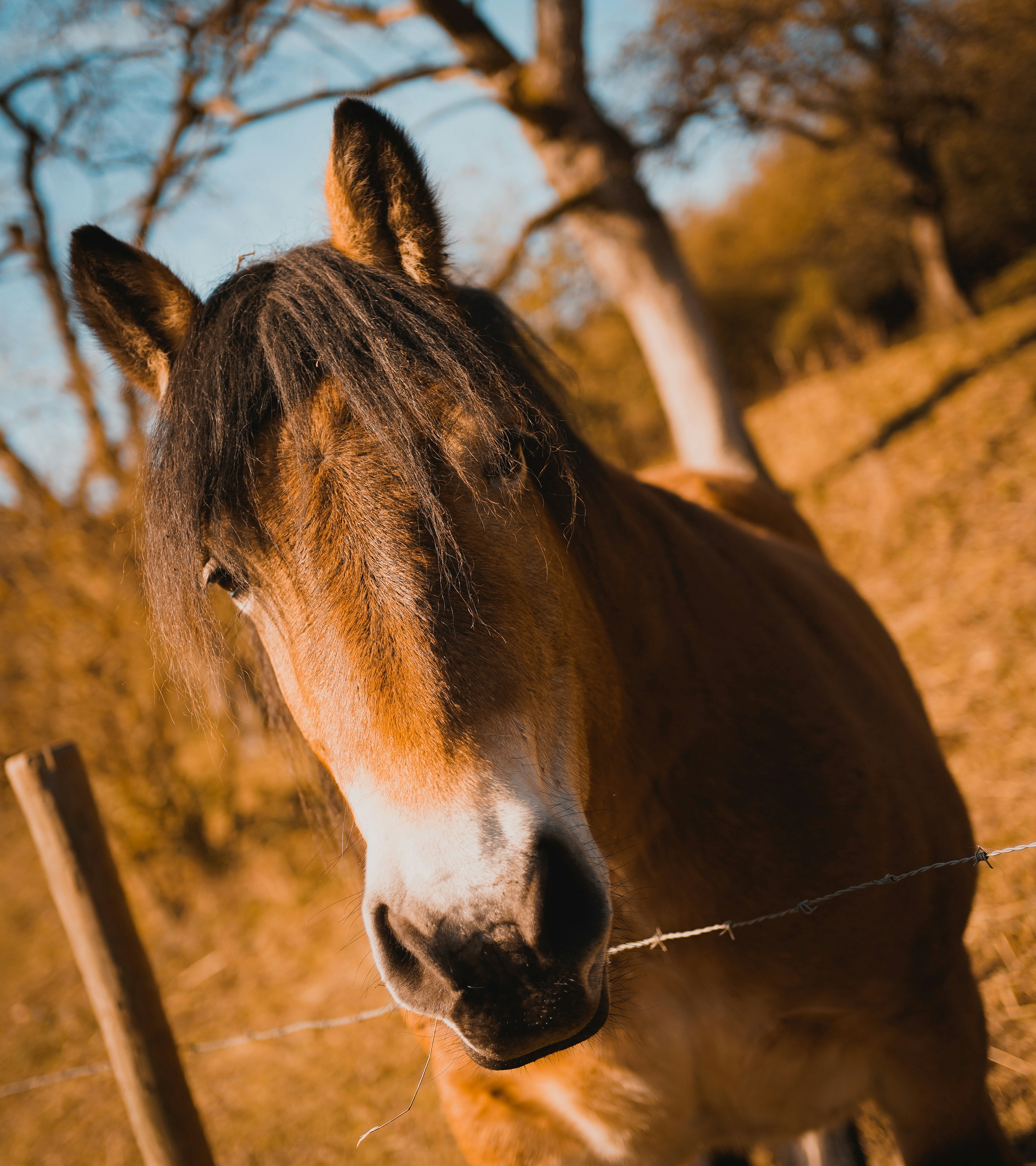 Photo by michelstock