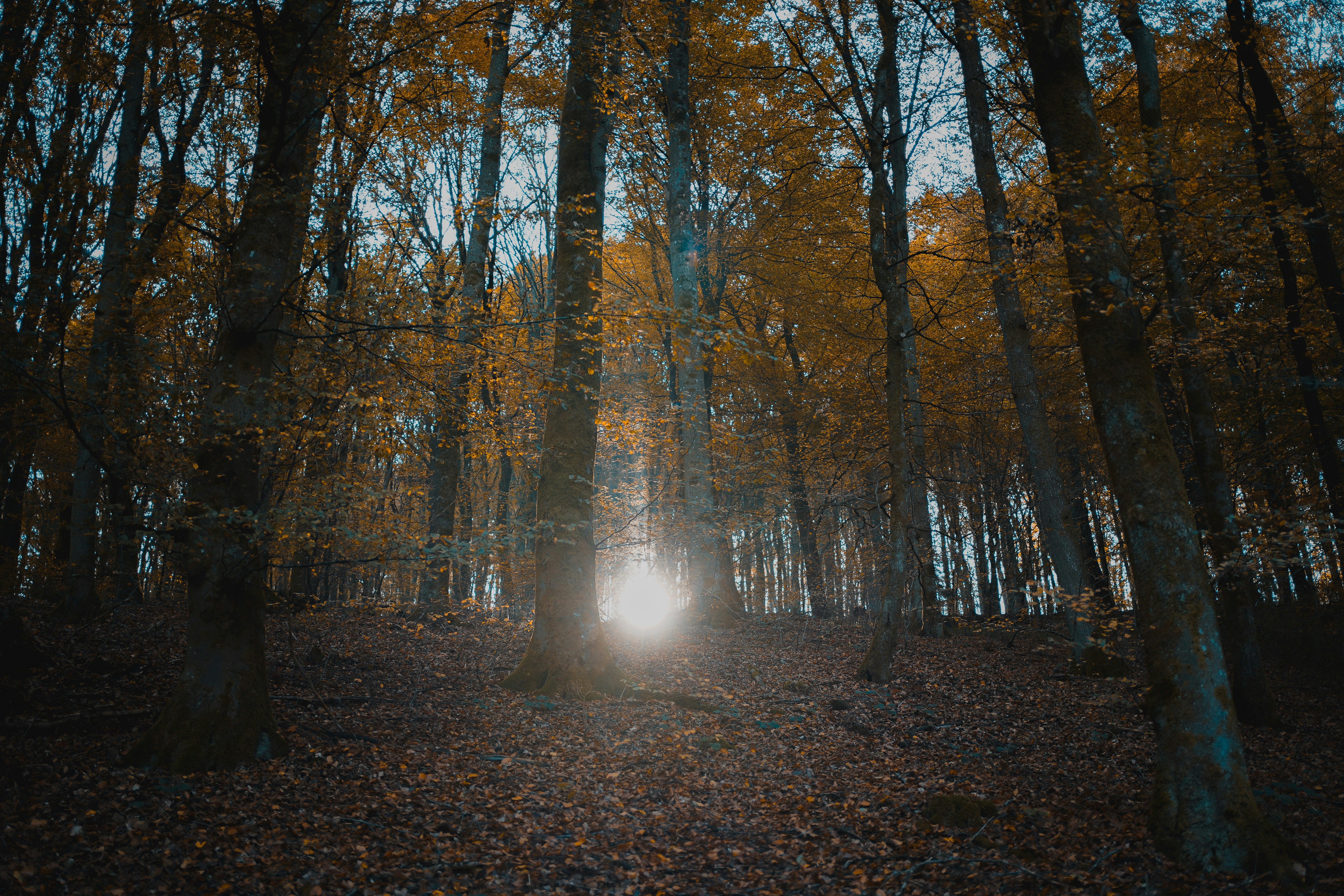 Photo by michelstock