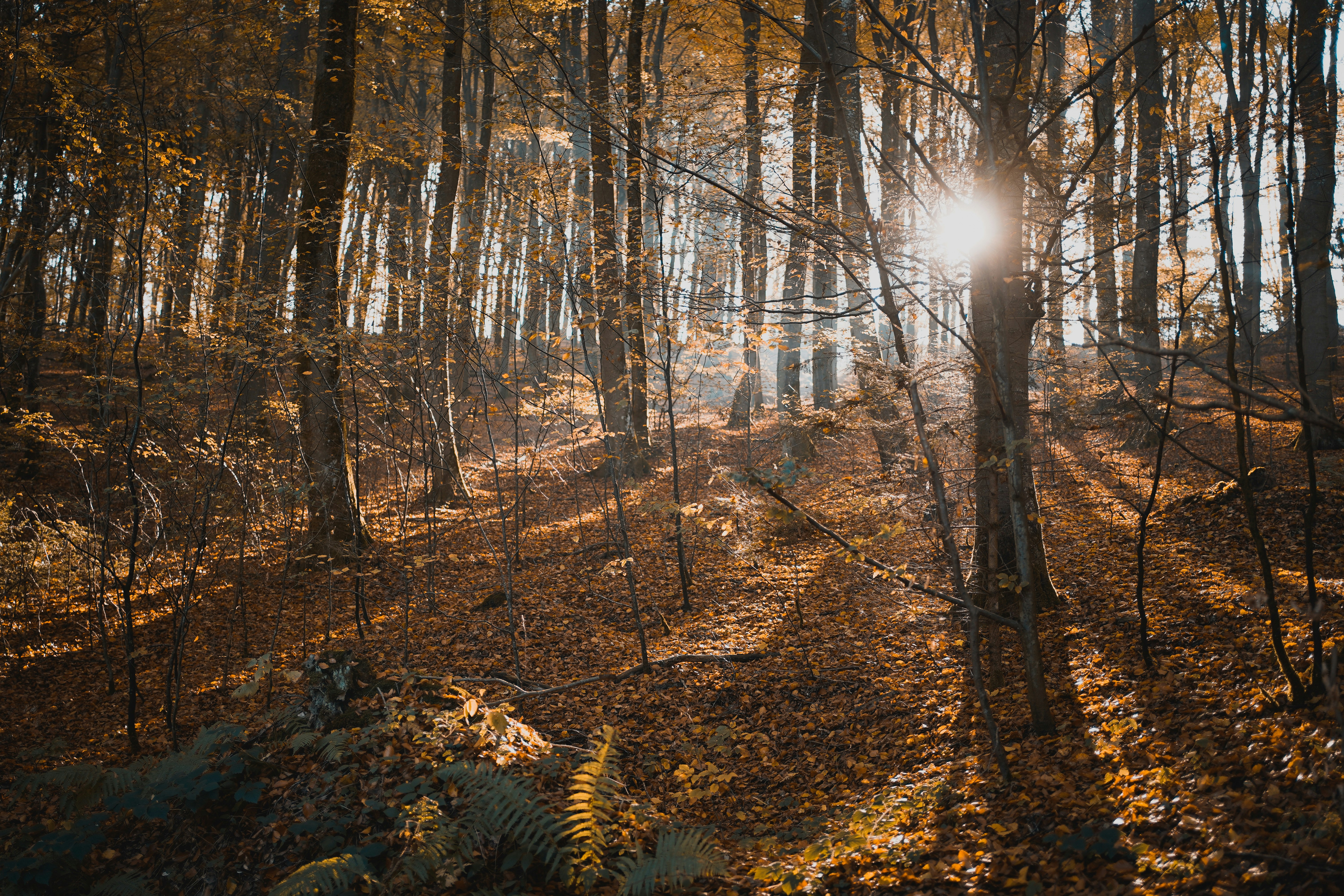 Photo by michelstock