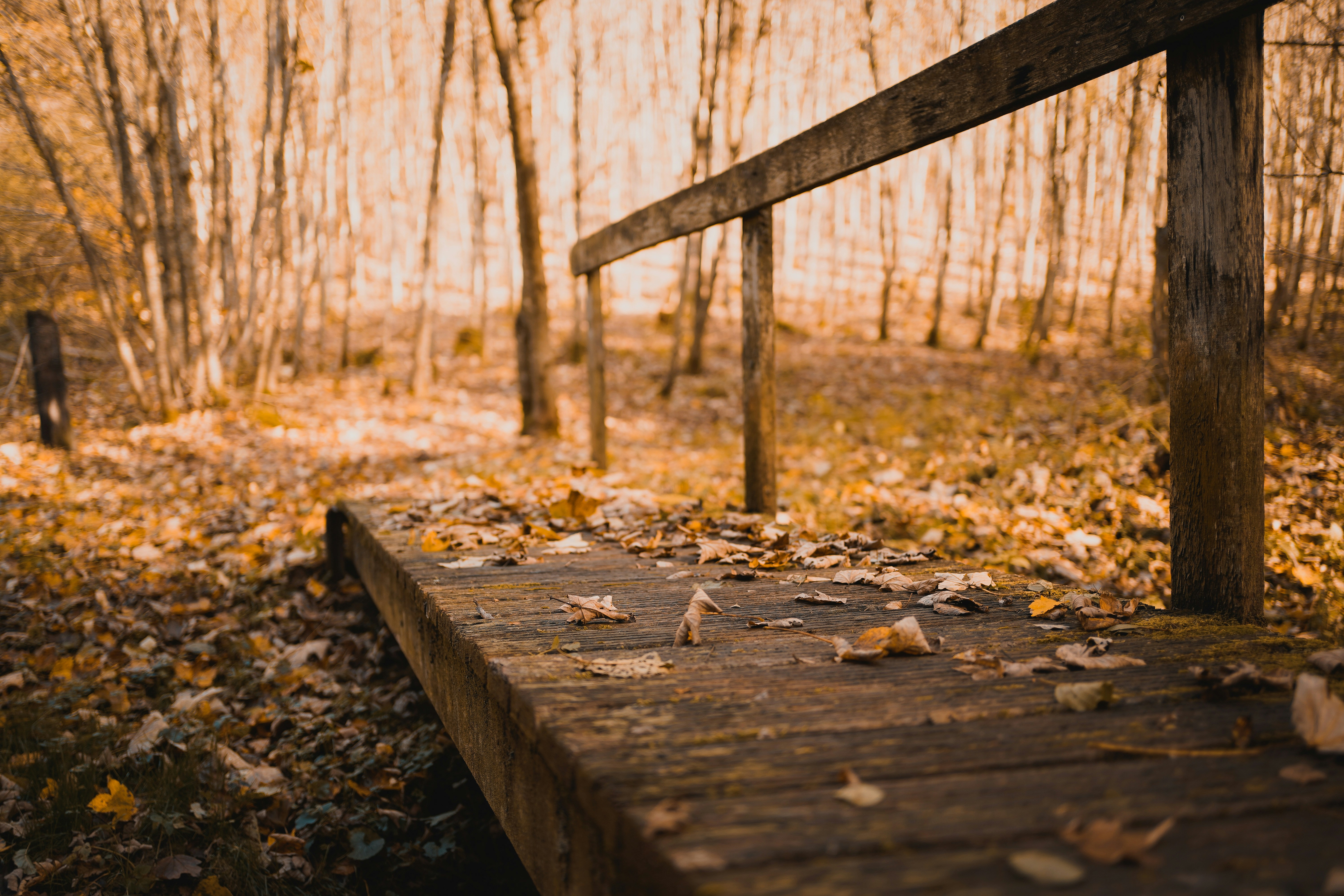 Photo by michelstock