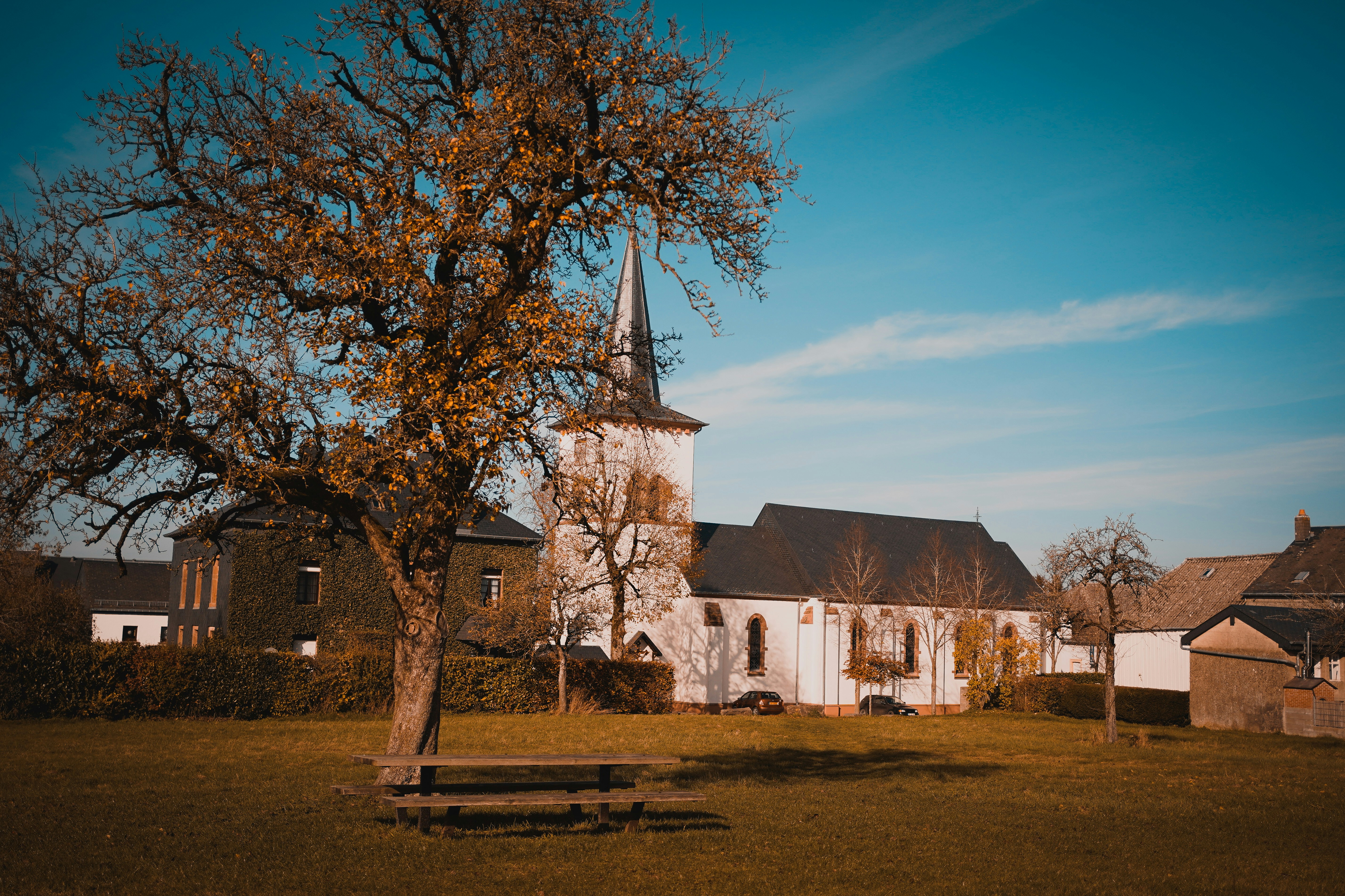 Photo by michelstock