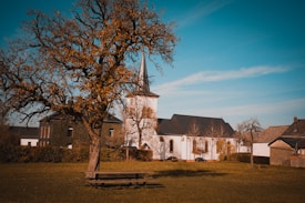 A picturesque rural scene features a quaint church with a tall steeple set against a clear blue sky. There are a few modest buildings nearby, surrounded by bare trees. In the foreground, a large, leafless tree casts intricate shadows on the grassy area, where a wooden picnic bench is positioned.