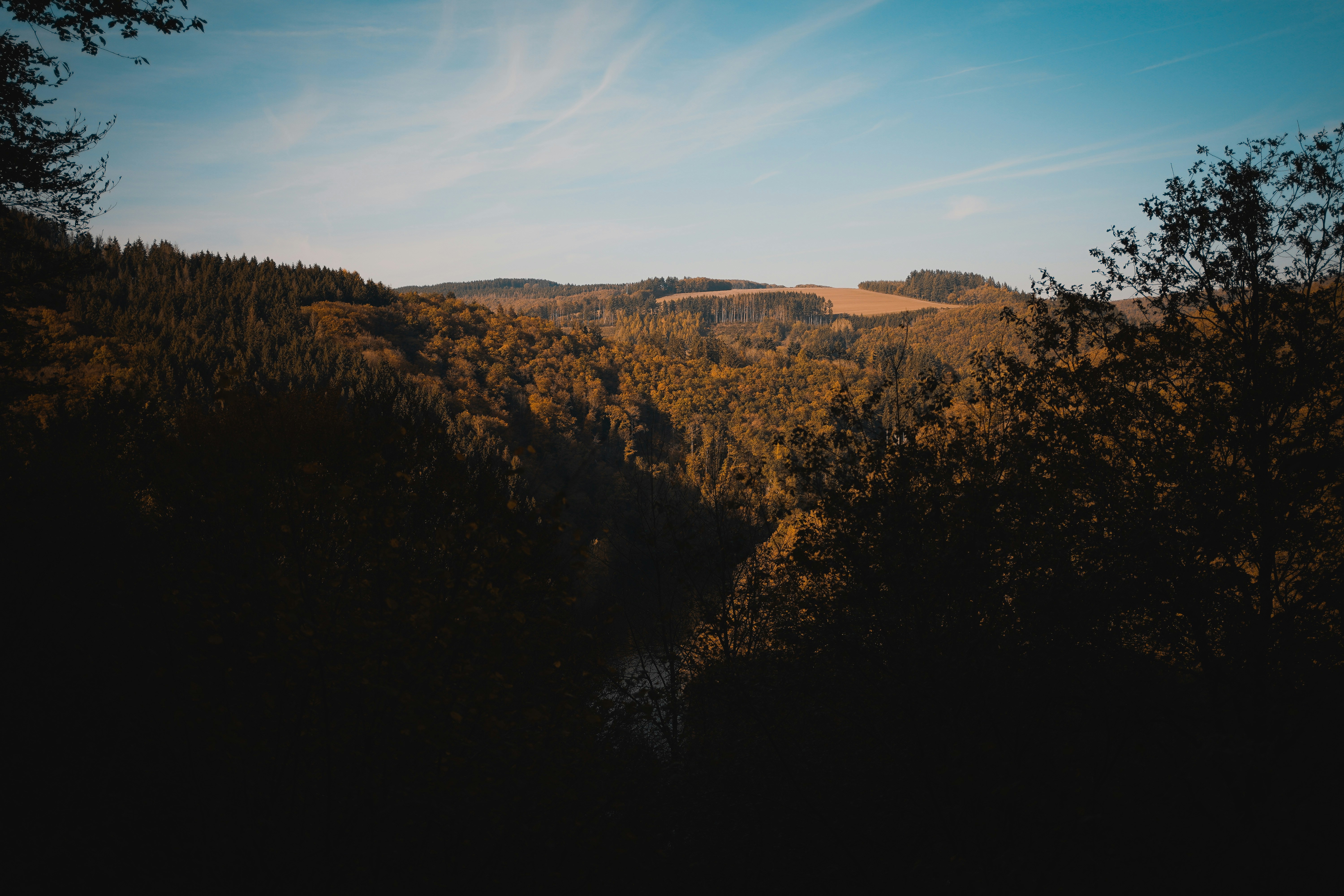 Photo by michelstock