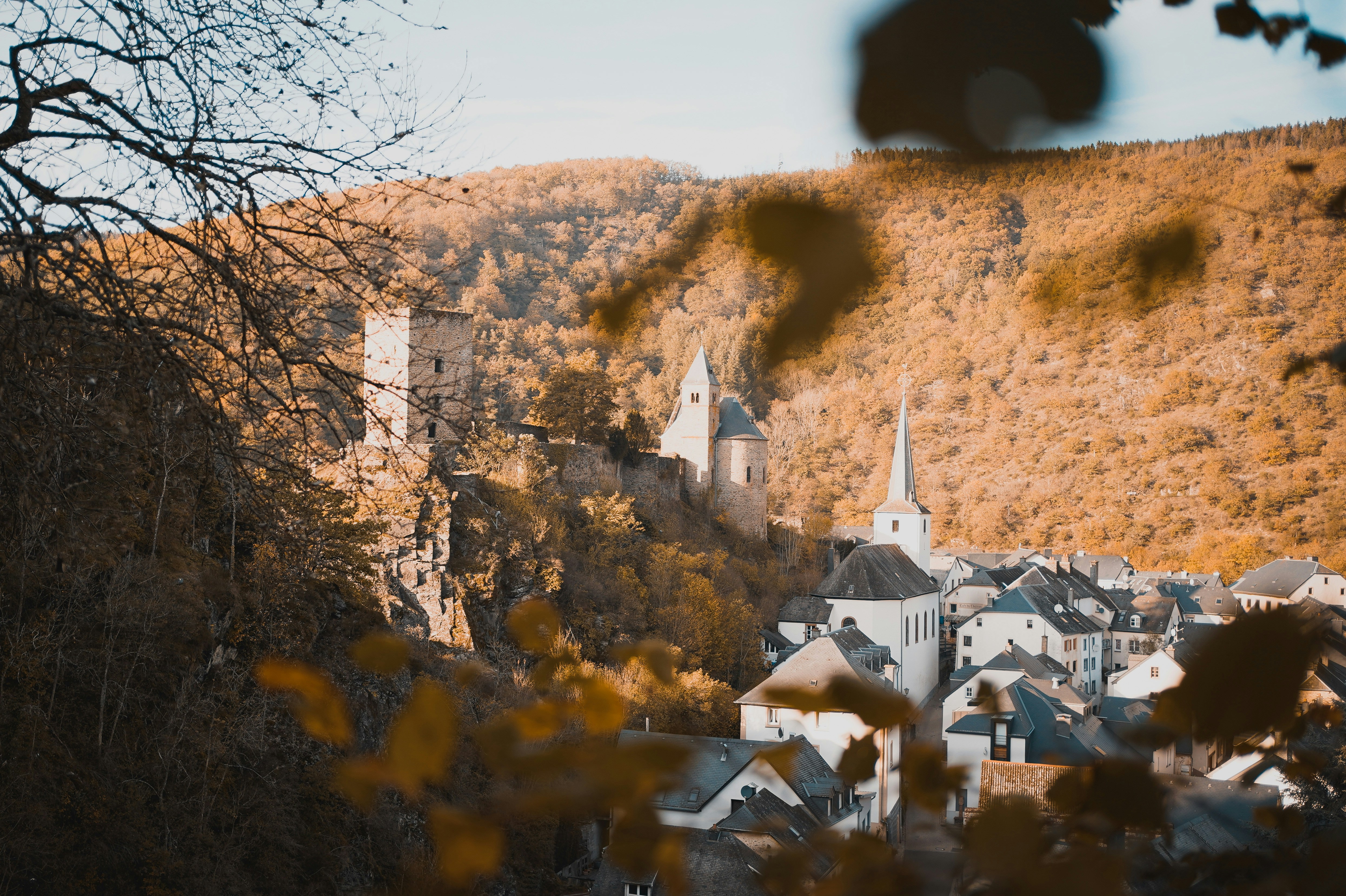 Photo by michelstock