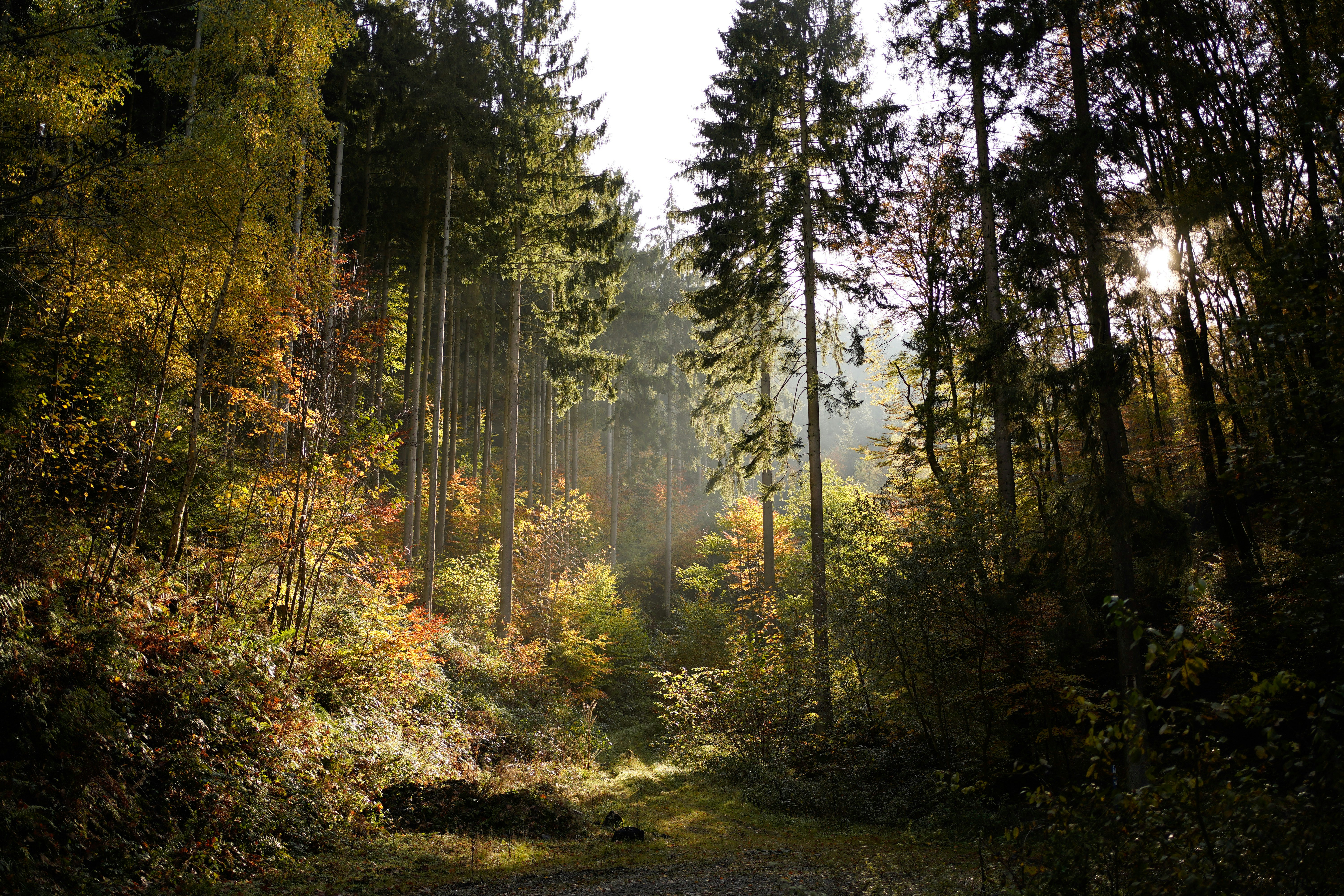 Photo by michelstock