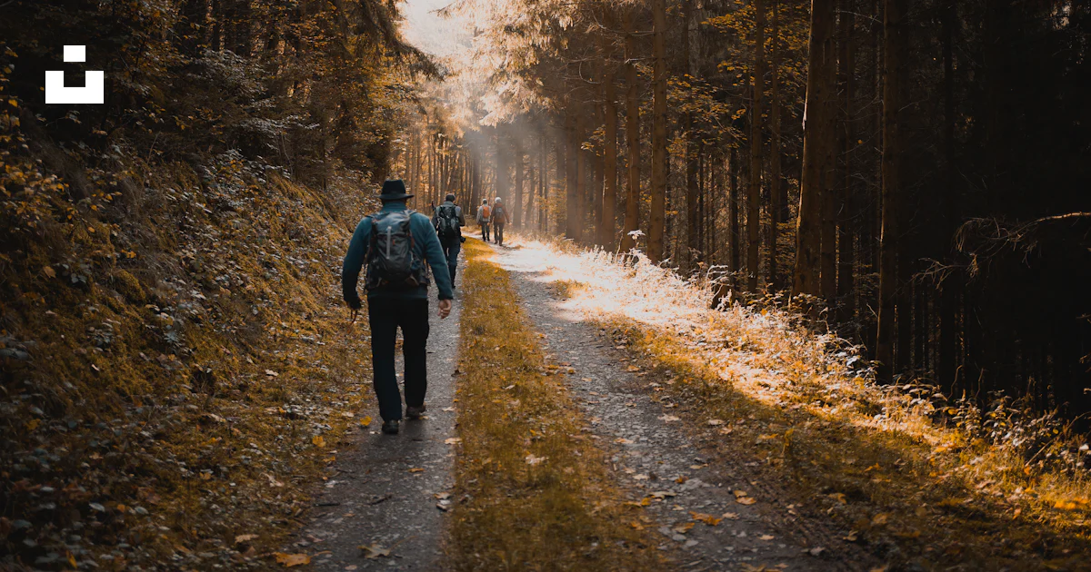 Men walking on road between trees during daytime photo – Free Human ...