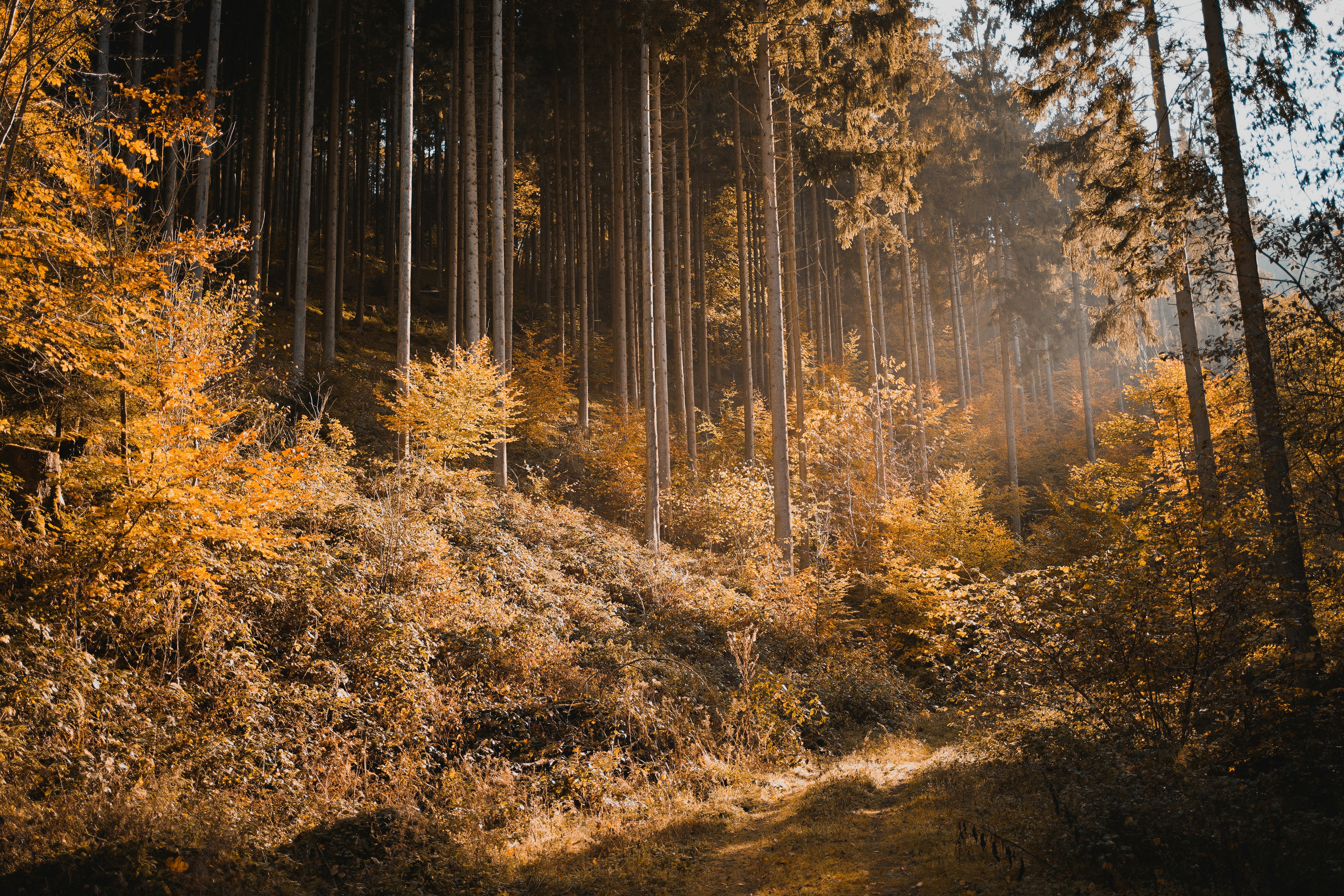 Photo by michelstock