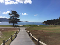 Golfers enjoying a sunny day on a scenic, tree-lined fairway with the ocean in the distance.