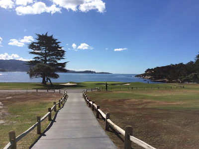 Golfers enjoying a sunny day on a scenic, tree-lined fairway with the ocean in the distance.