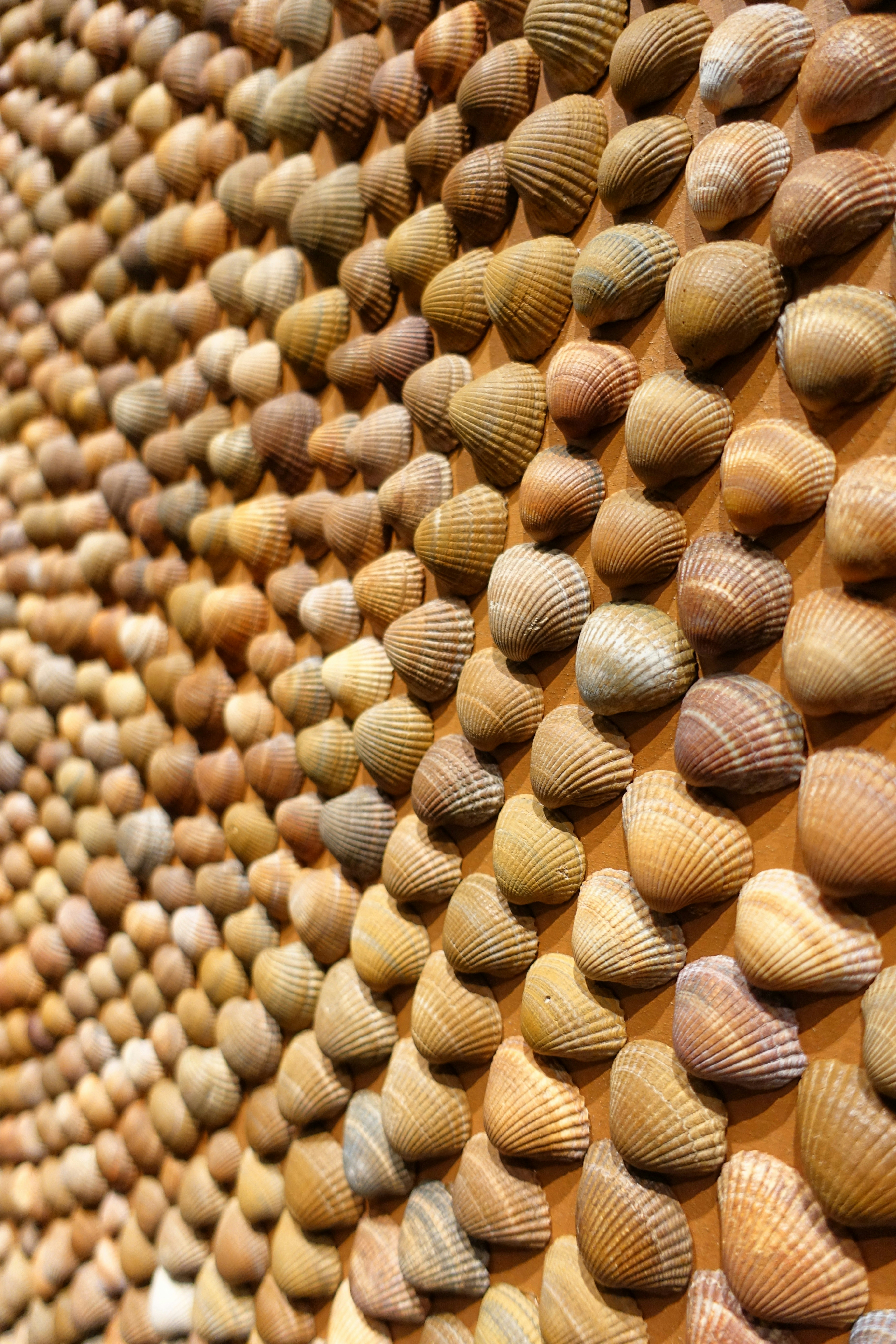 Photo by michelstock