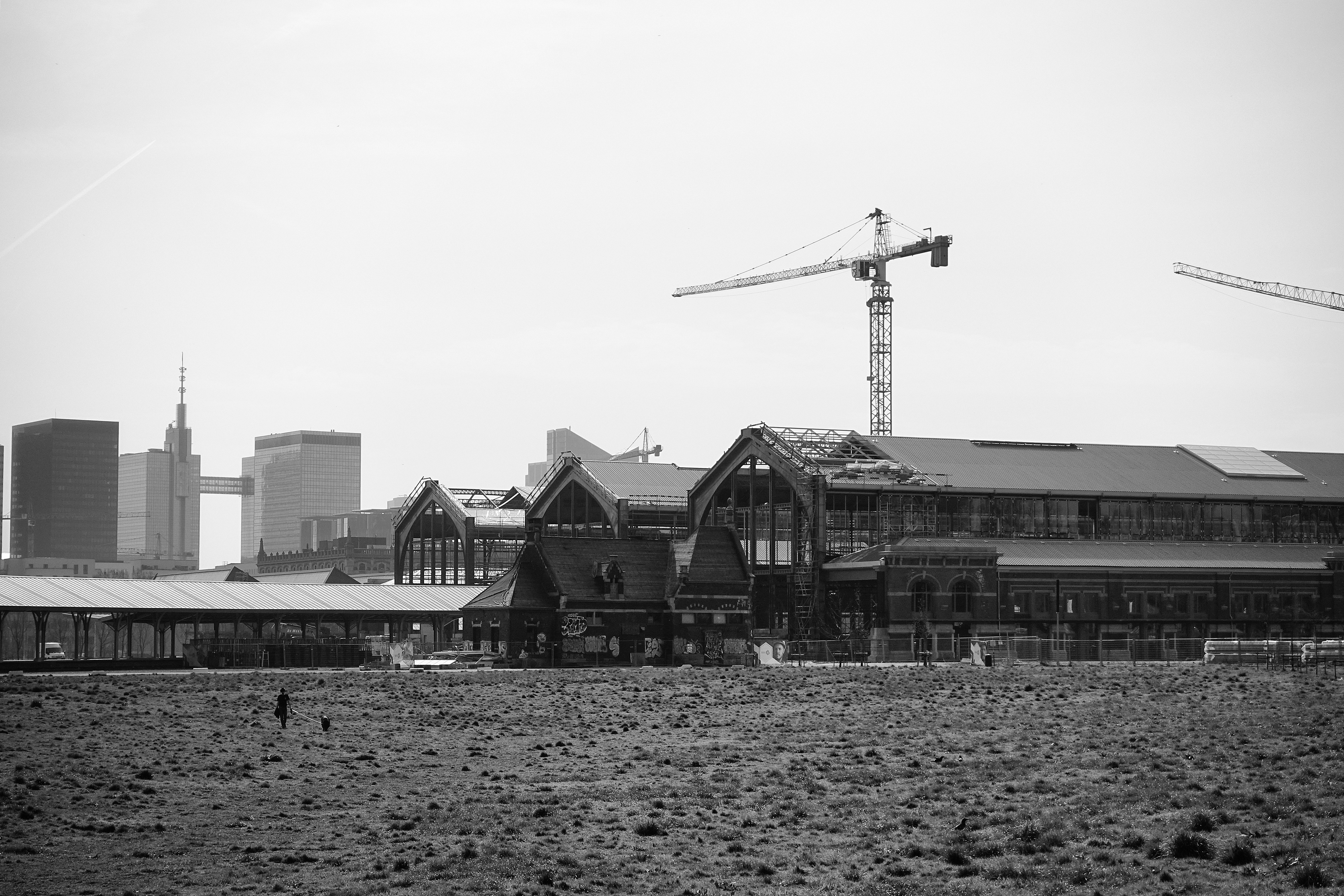 Photo by michelstock