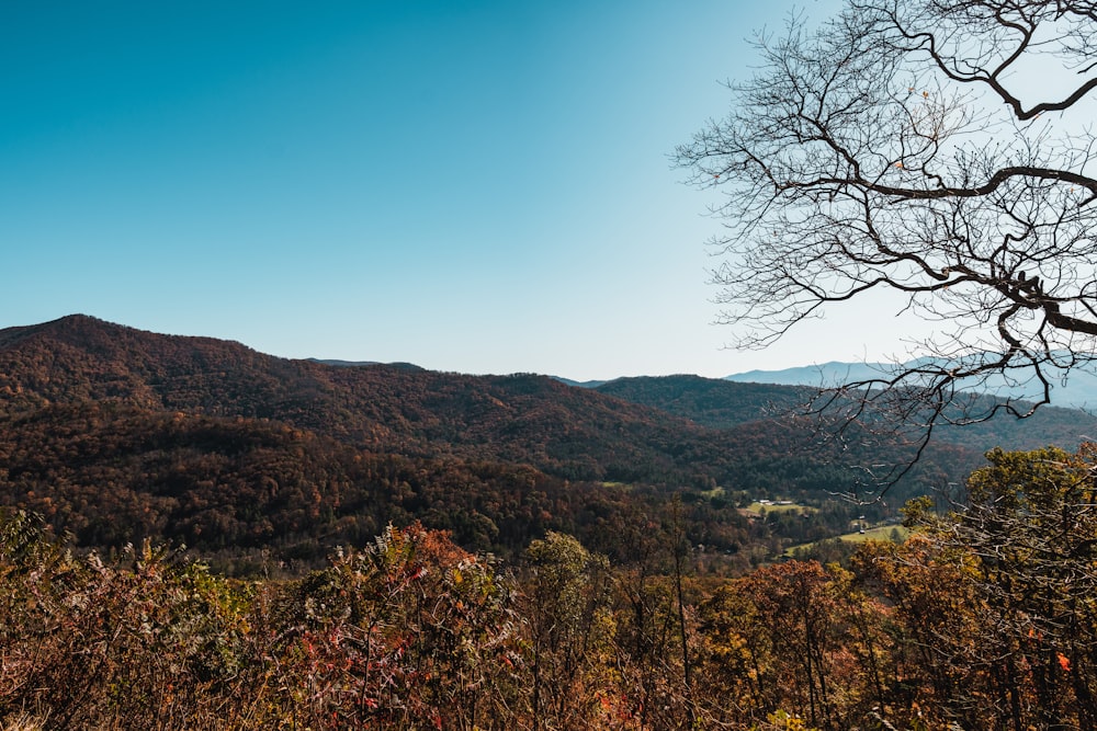 aerial photography of mountain ridge