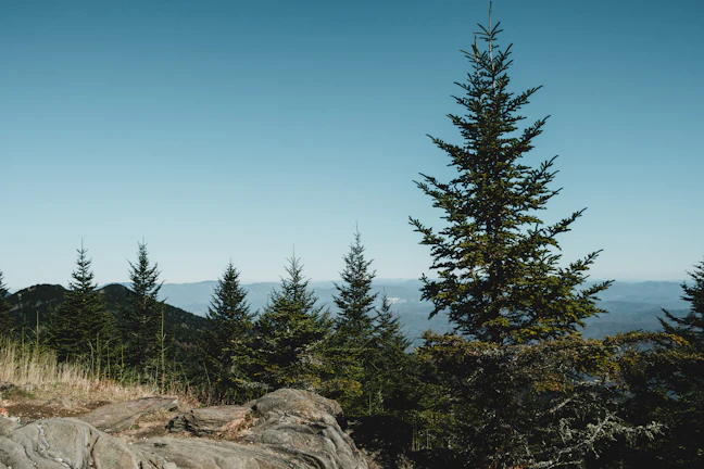 Luxury 4-Day Baguio Itinerary: High-End Travel Guide