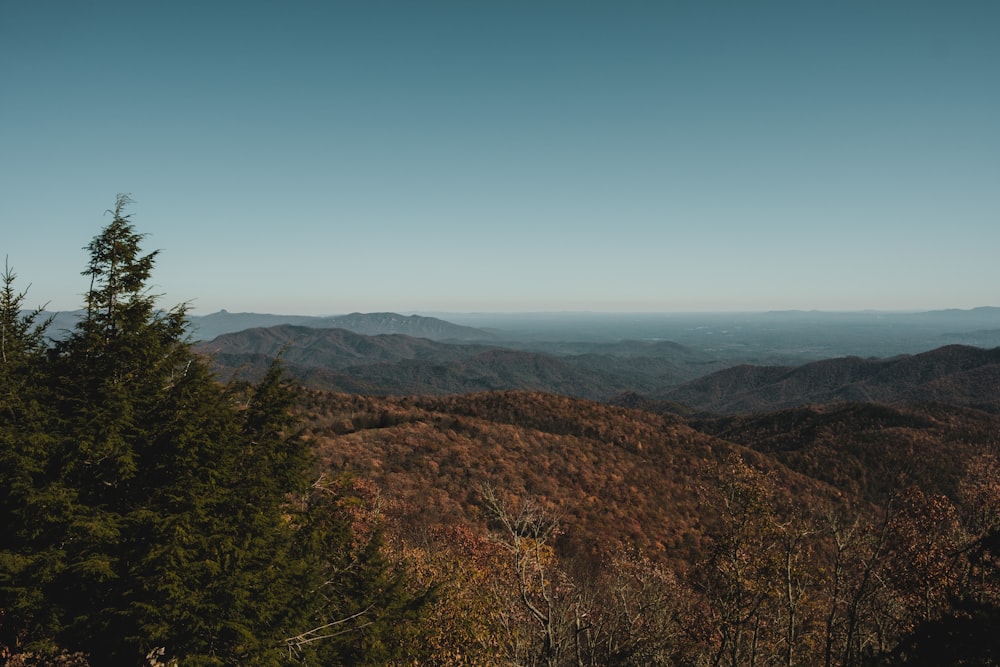 landscape photography of mountain