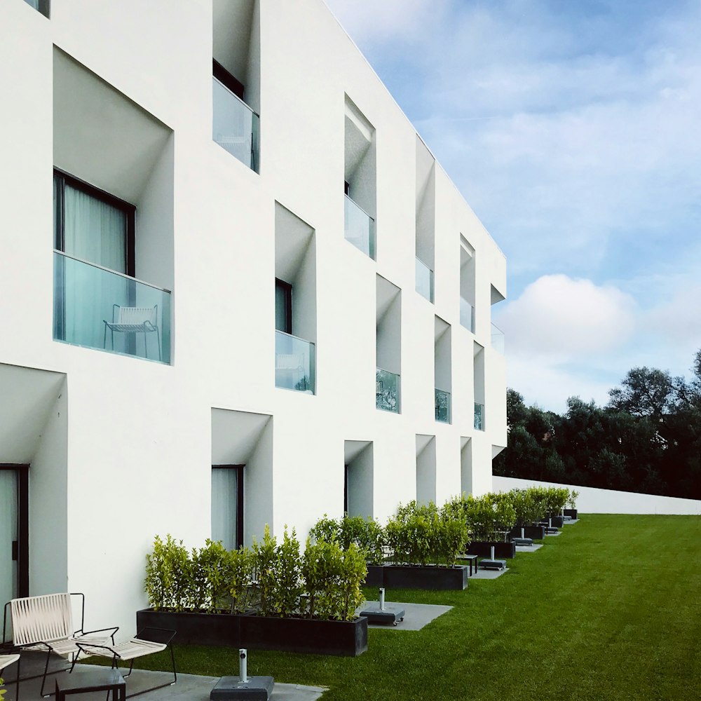 green plants near white building