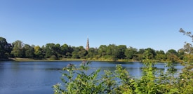 A serene lake surrounded by lush greenery and trees, with a tall spire peeking over the treetops in the background. The sky is clear and blue, creating a peaceful and inviting atmosphere.
