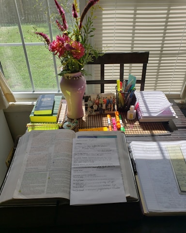 A serene workspace with journals, plants, and calming natural light.